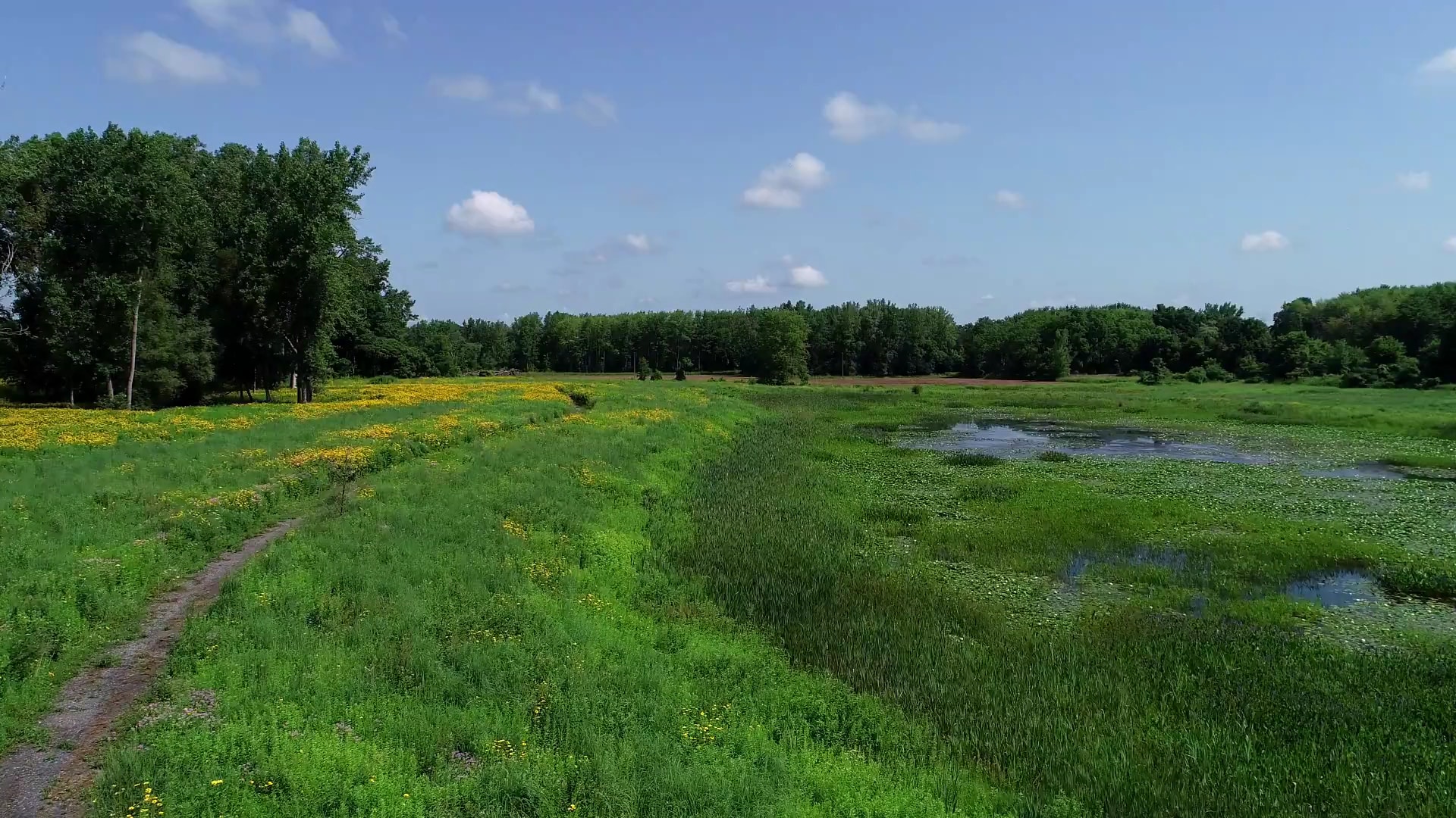 Seneca Meadows Wetlands Preserve - Seneca Falls, NY