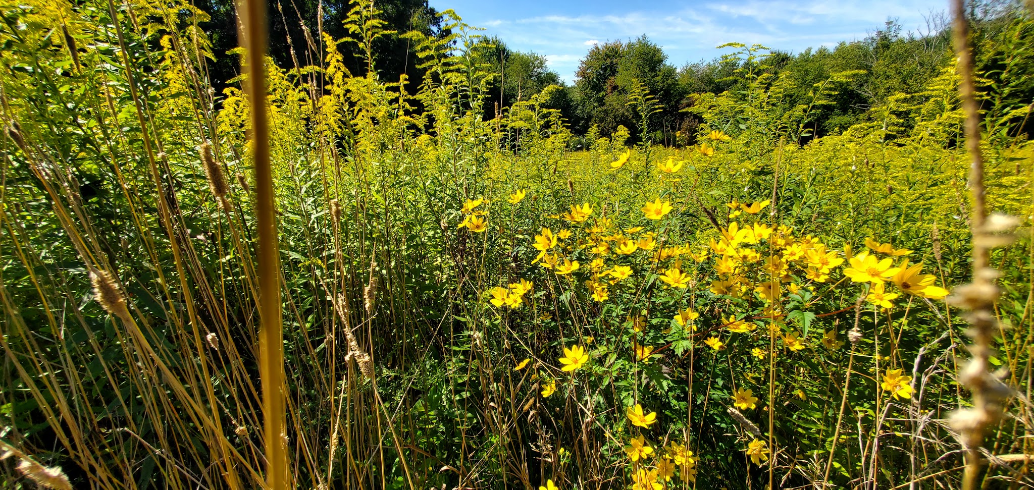 Polo Field - Sewickley, PA