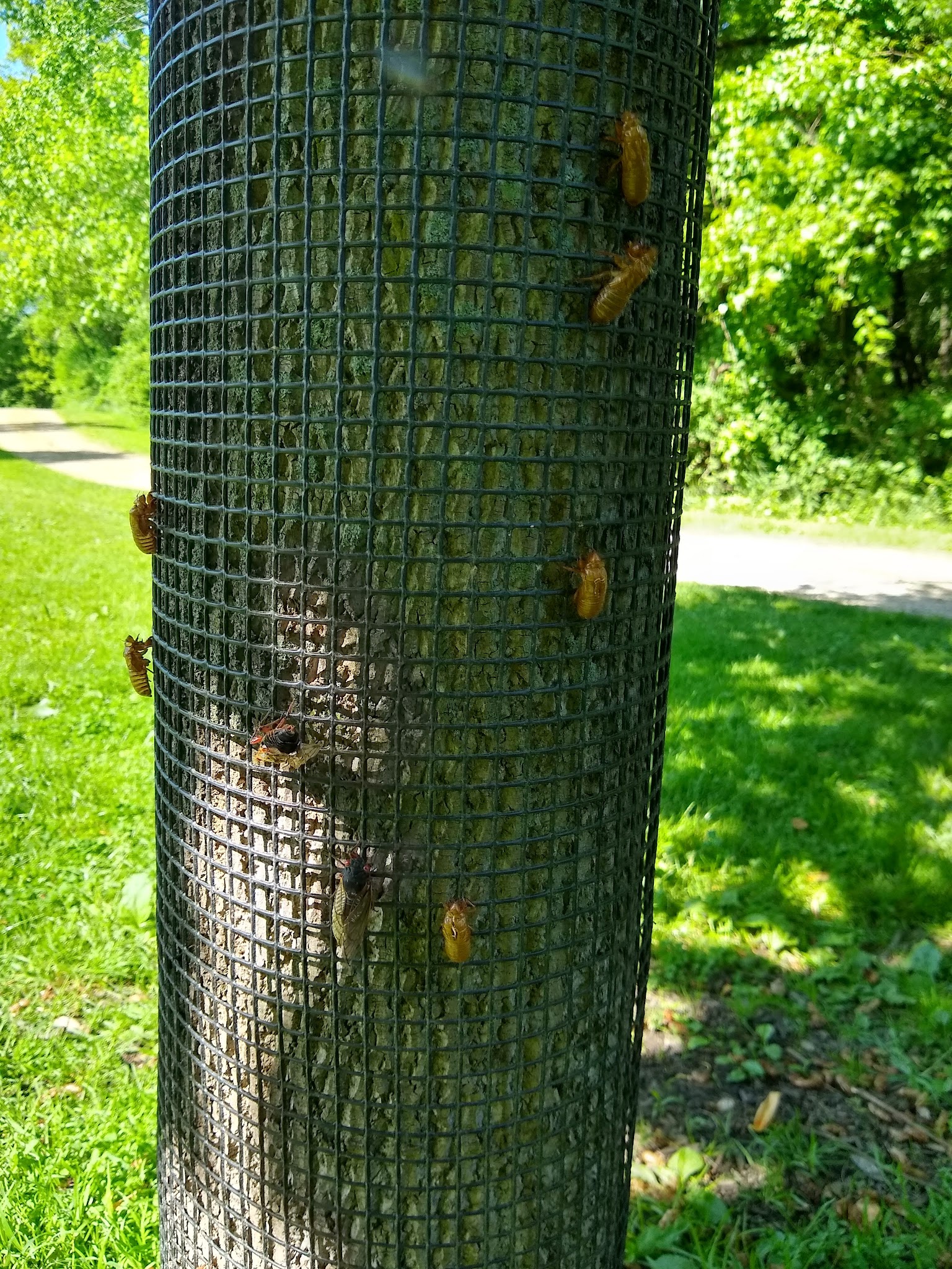 Polo Field - Sewickley, PA