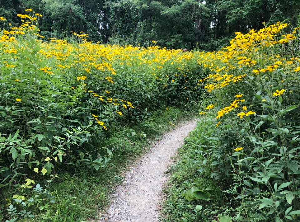 Sewickley Heights Borough Park - Sewickley, PA