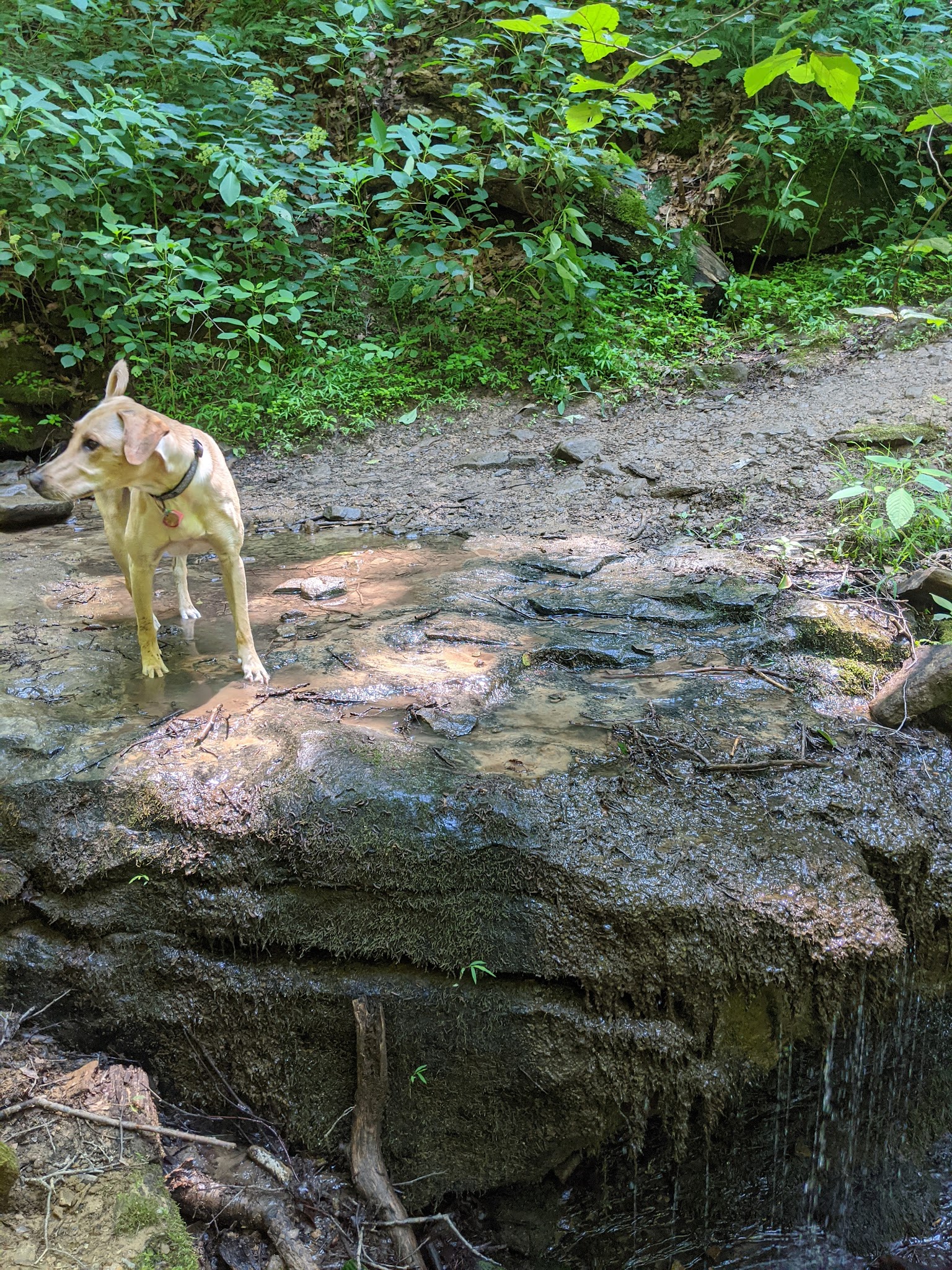 Sewickley Heights Borough Park - Sewickley, PA