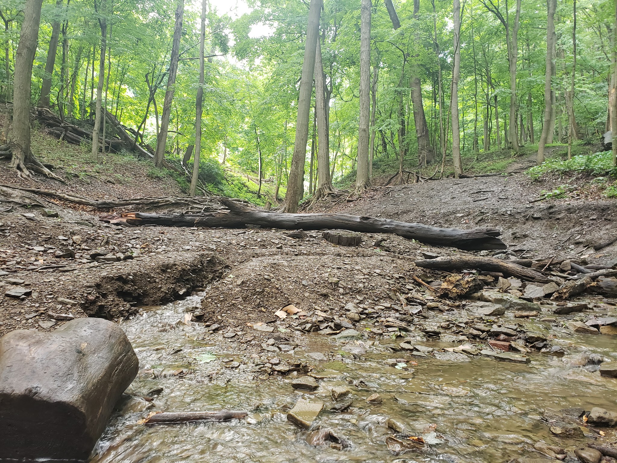 Sewickley Valley War Memorial Park - Sewickley, PA