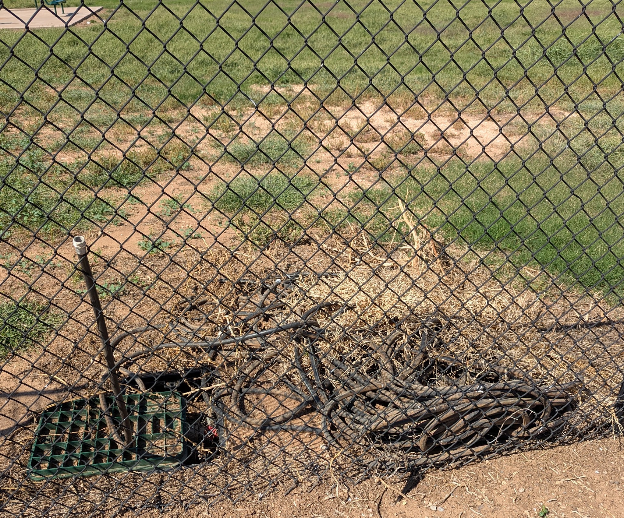 Shallowater Dog Park - Shallowater, TX