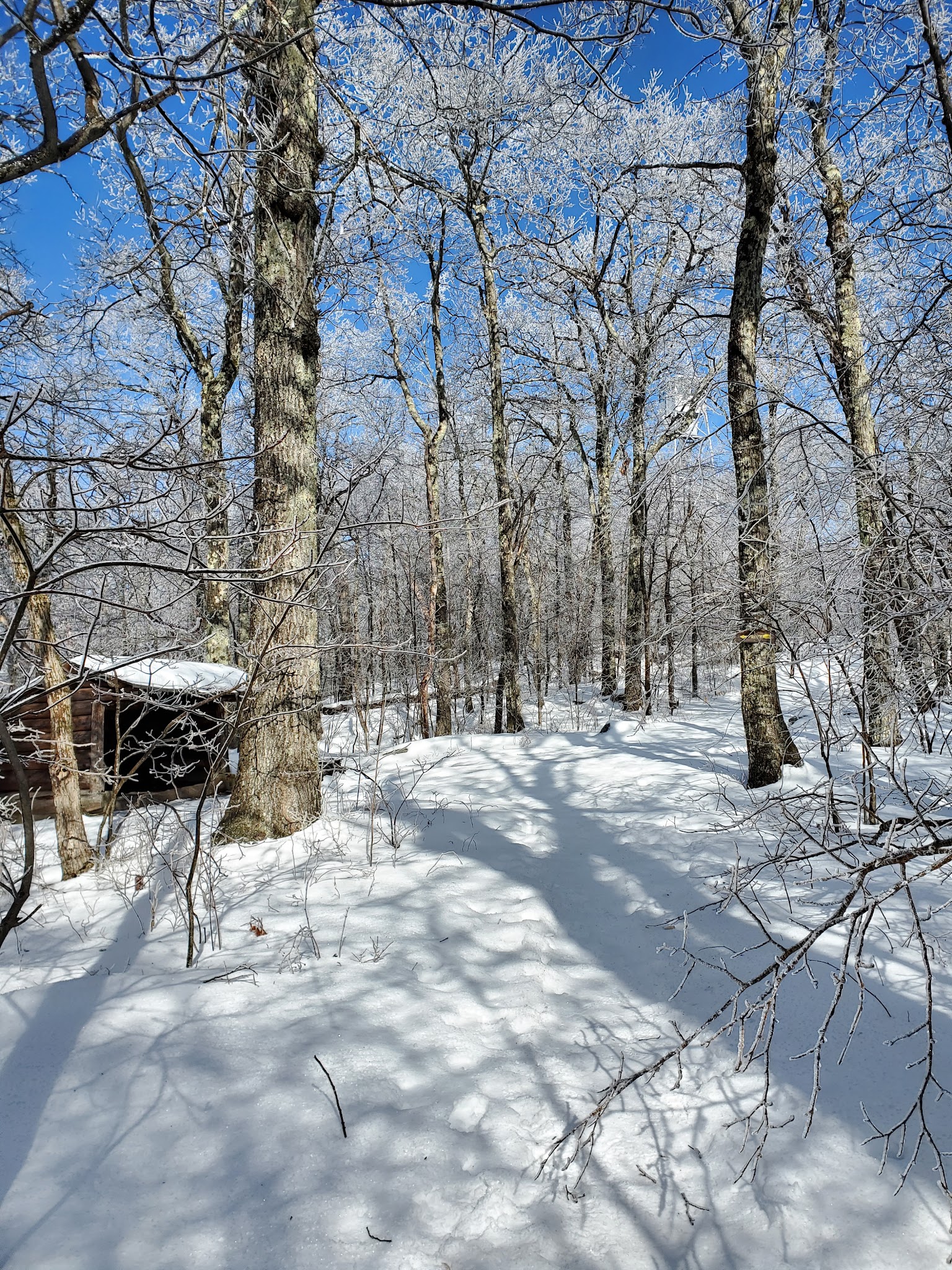 Tremper Mountain Trail - Shandaken, NY