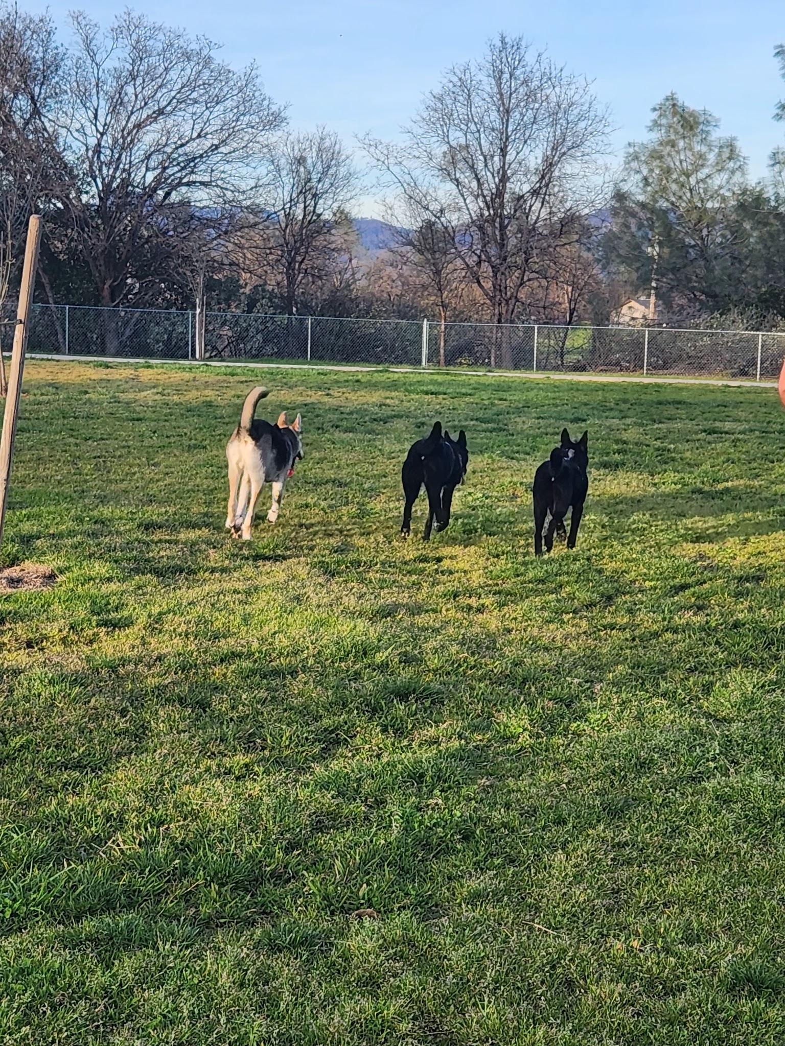 Akard park - Shasta Lake, CA