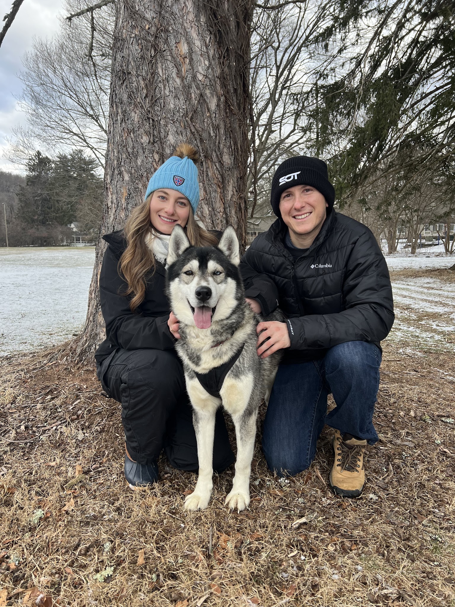 Arctic Paws Dog Sled Tours - Shawnee on Delaware, PA