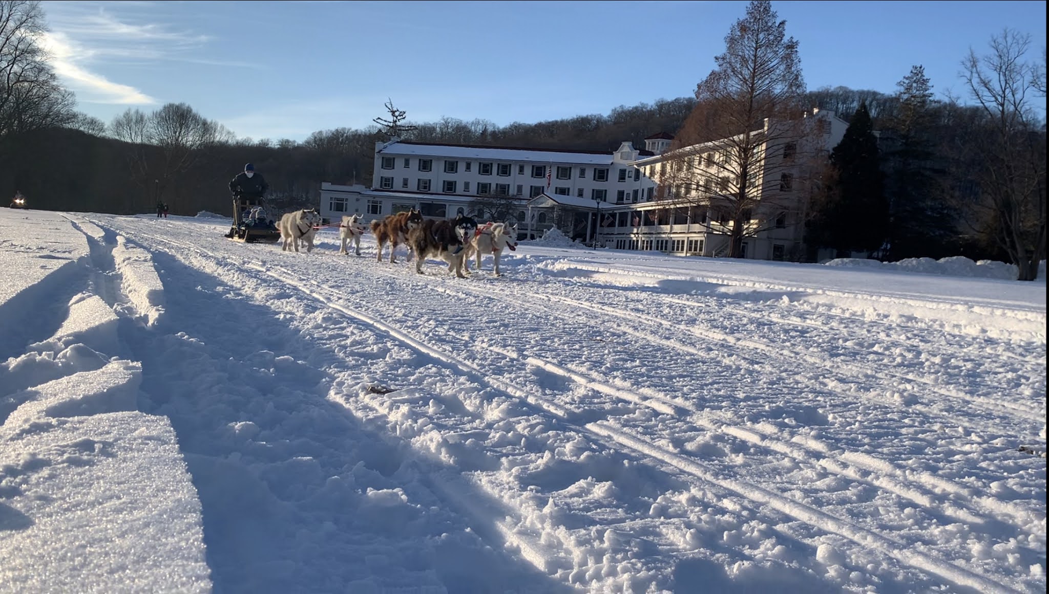 Arctic Paws Dog Sled Tours - Shawnee on Delaware, PA