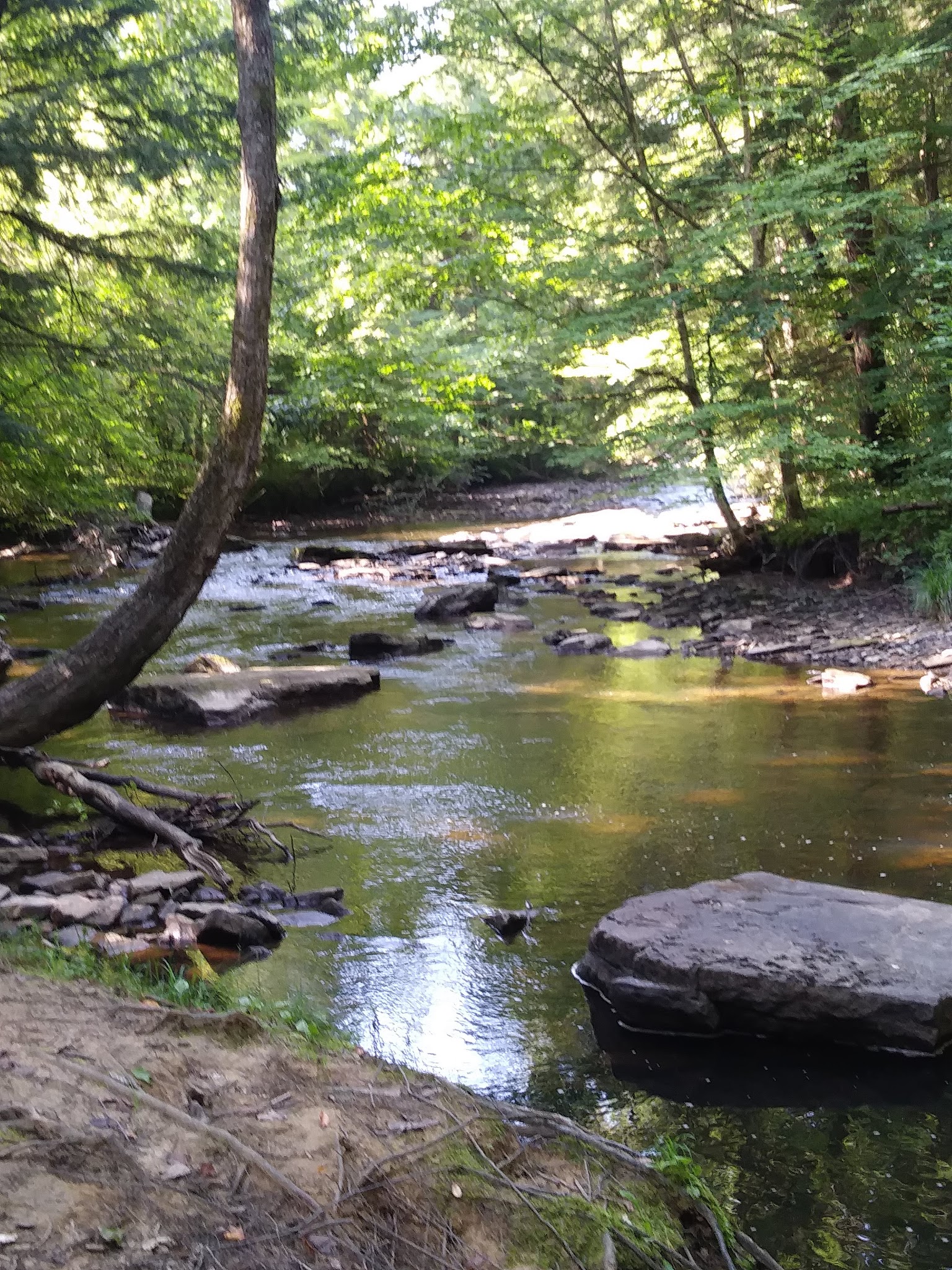 North country Trail trailhead Cherry Run - Sheffield, PA