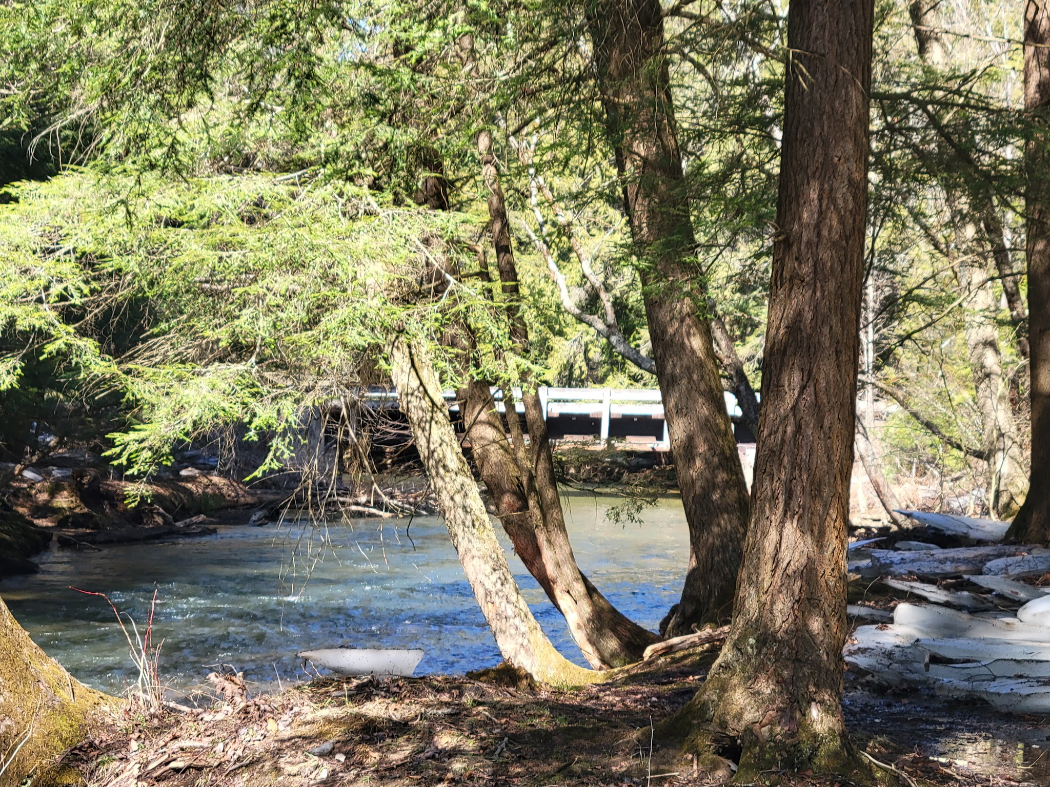 North country Trail trailhead Cherry Run - Sheffield, PA