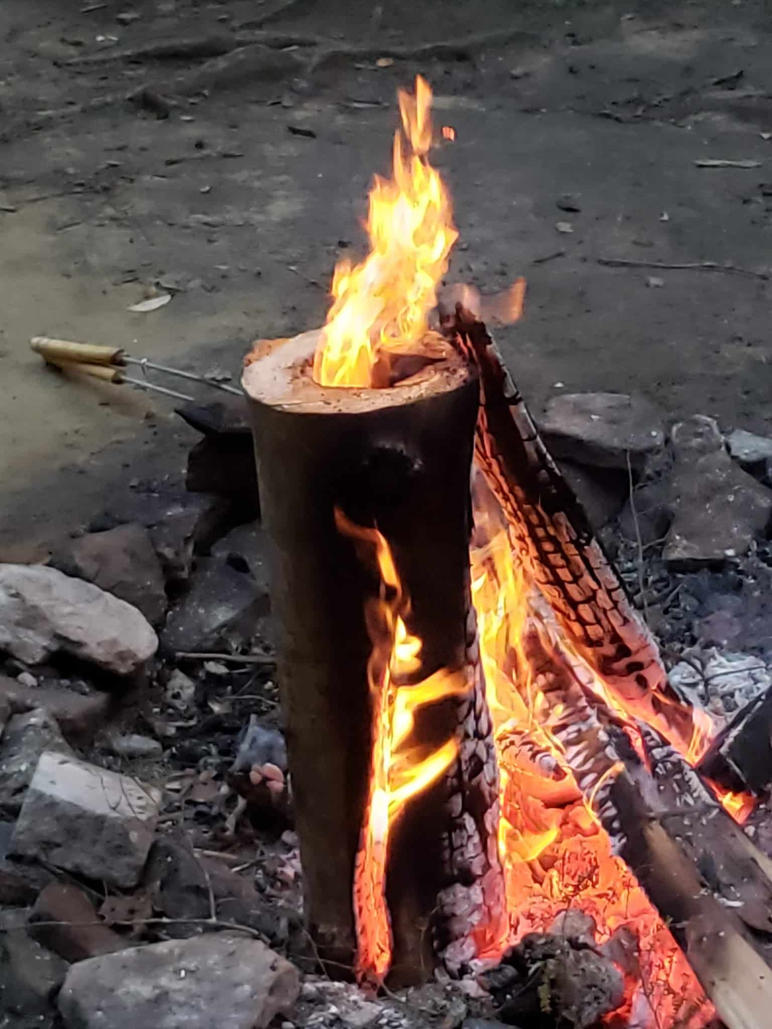 North country Trail trailhead Cherry Run - Sheffield, PA