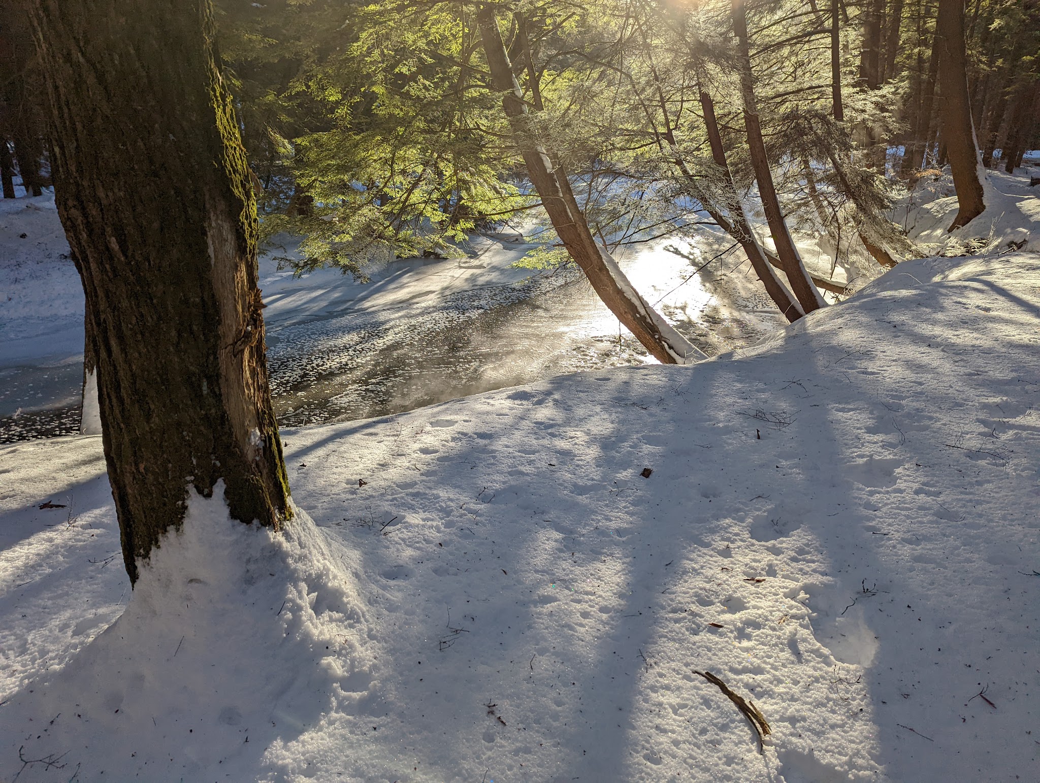 North country Trail trailhead Cherry Run - Sheffield, PA