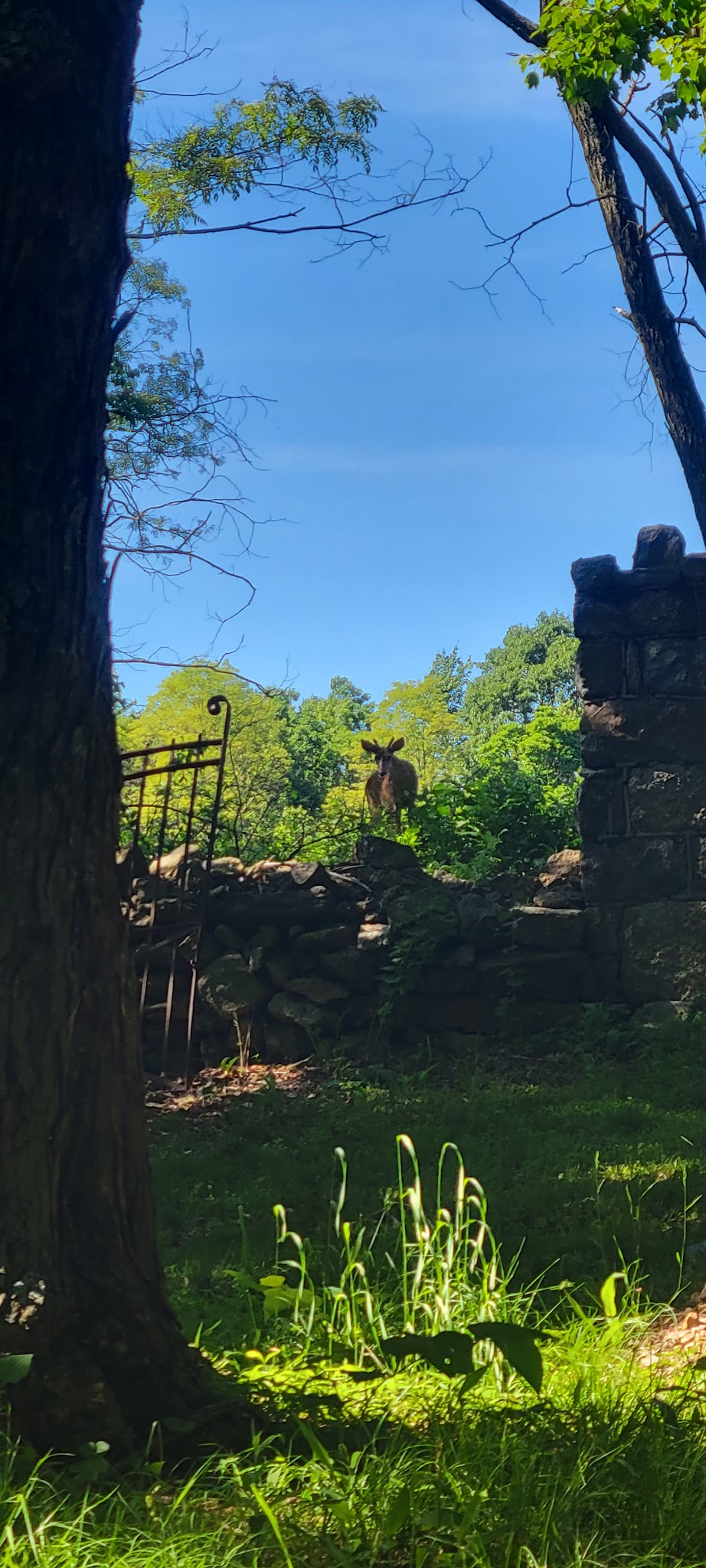 Shenandoah Heights Park - Shenandoah, PA