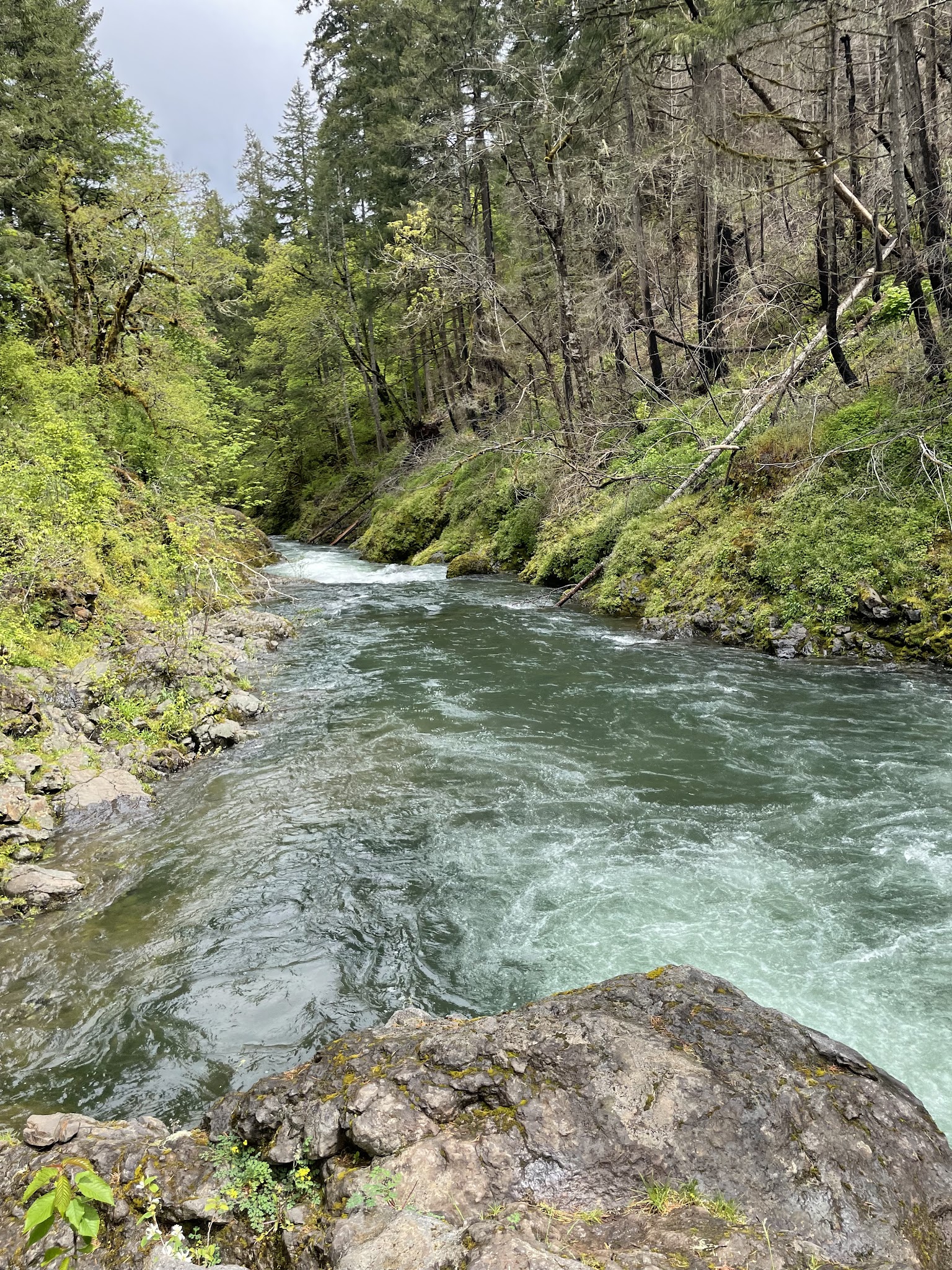 Mill Creek Park - Sheridan, OR