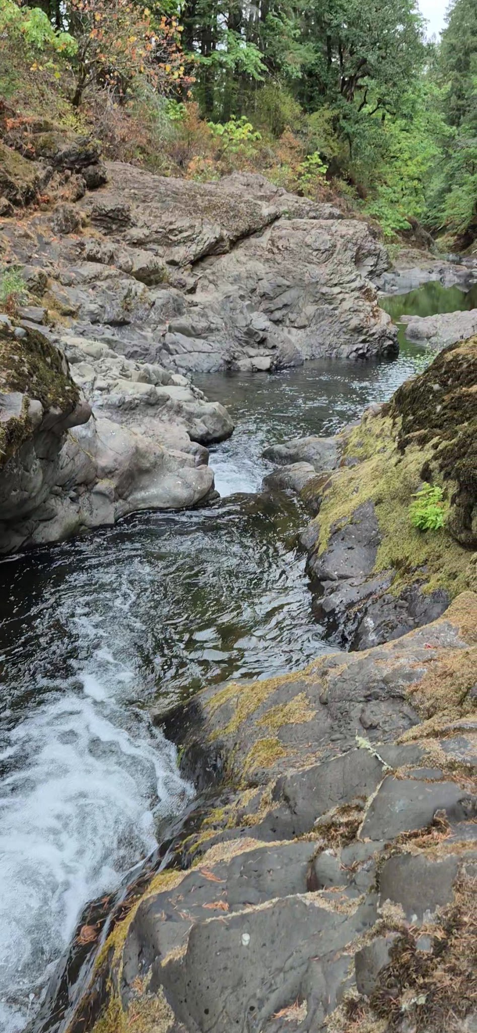 Mill Creek Park - Sheridan, OR