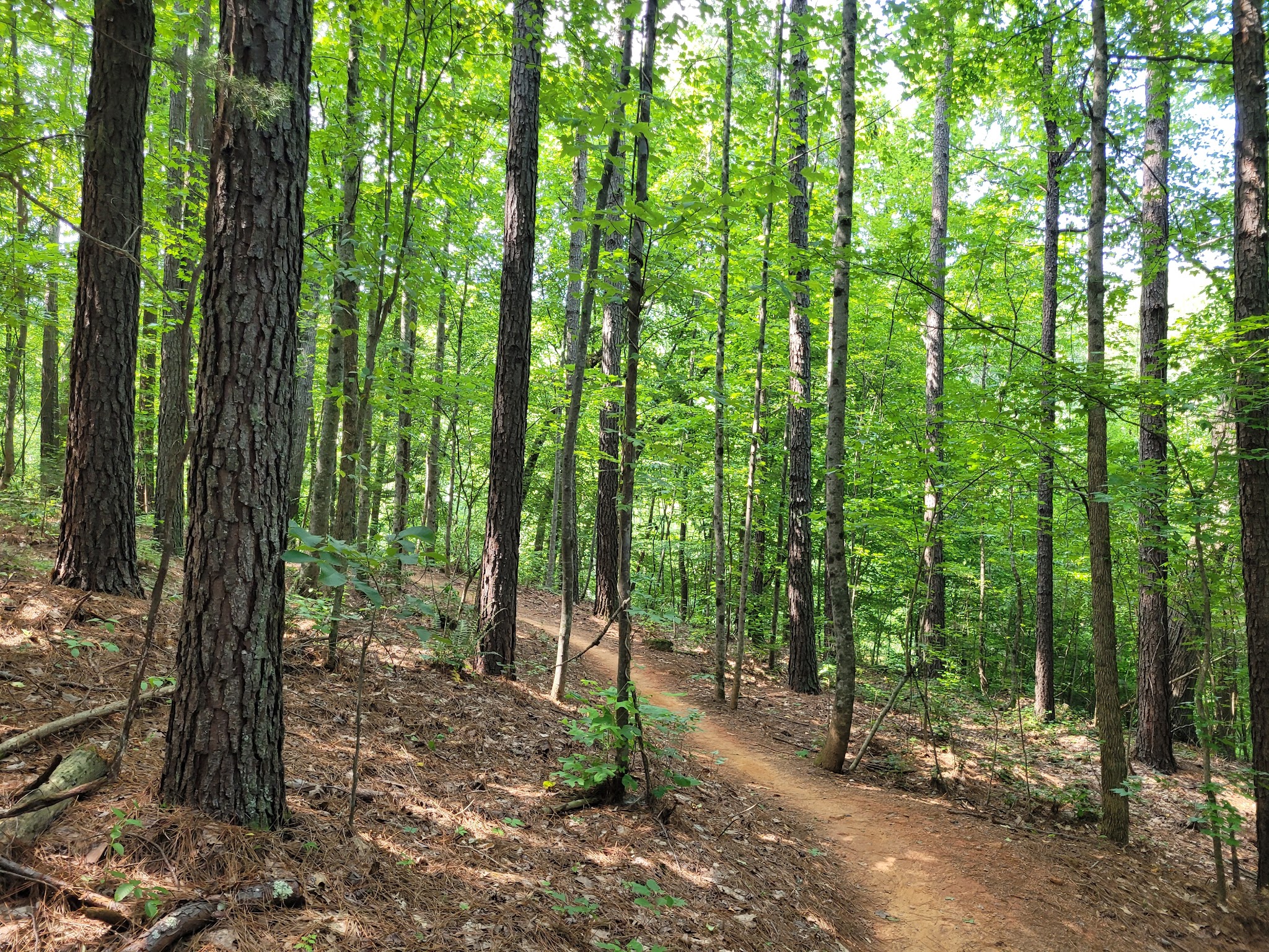 Mountain Creek Park - Sherrills Ford, NC