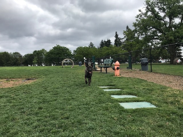 Sherwood Dog Park - Sherwood, OR