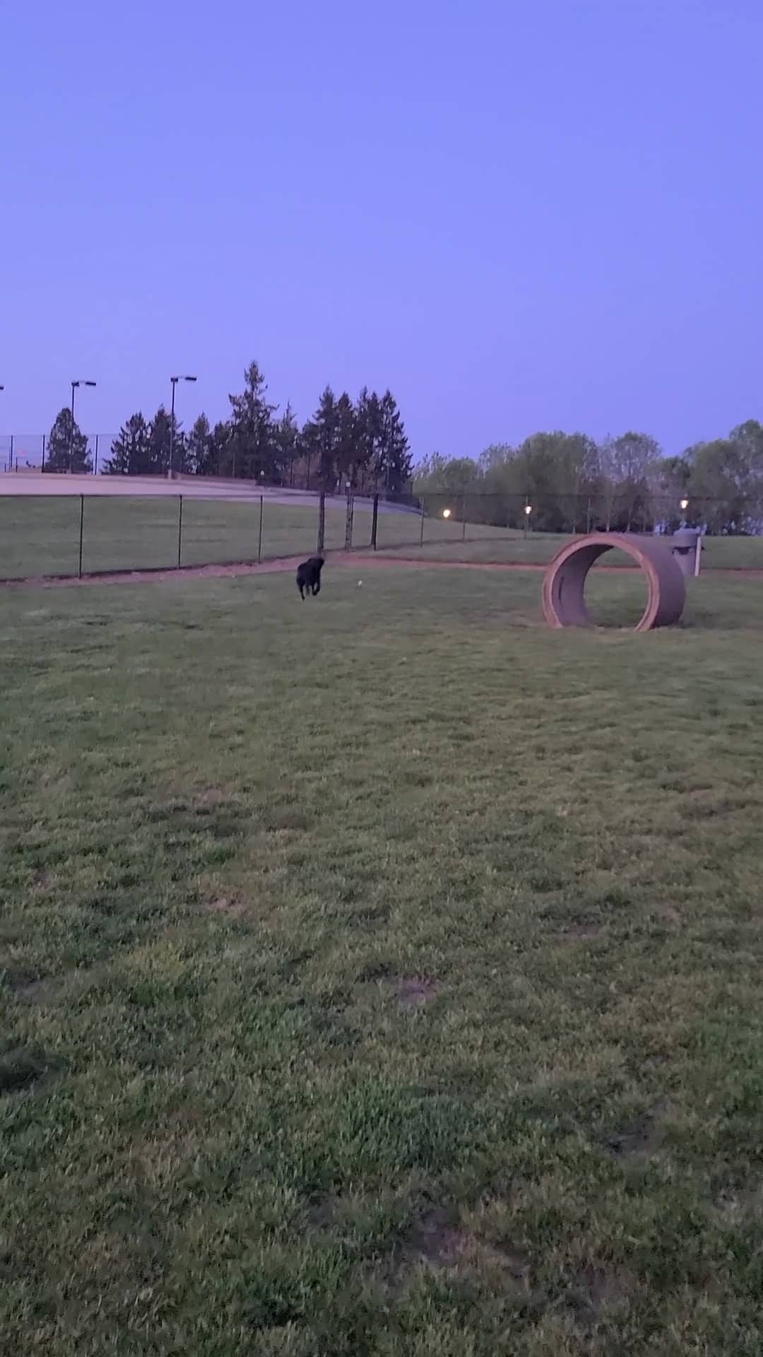 Sherwood Dog Park - Sherwood, OR