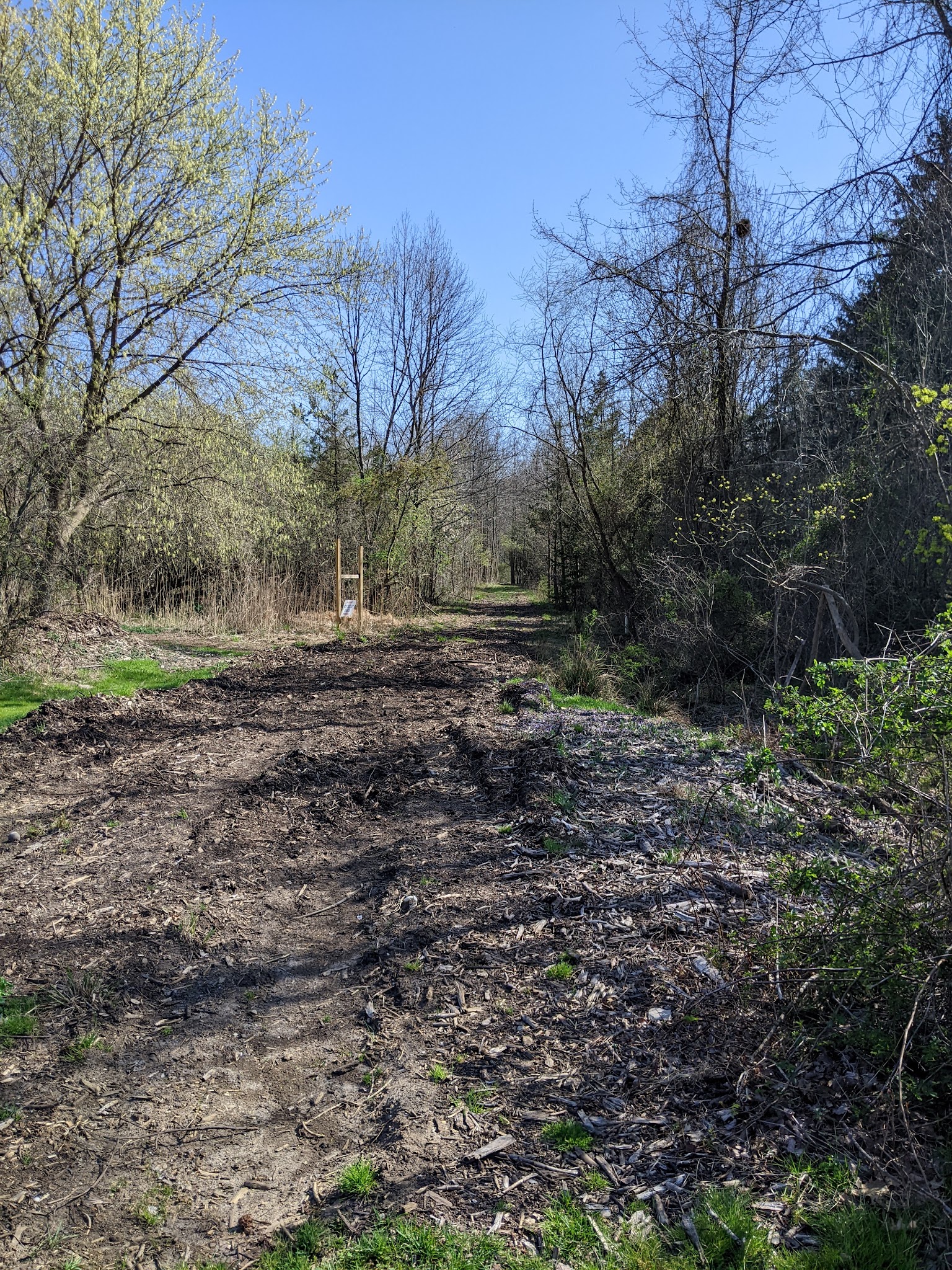 Esther-Hymer Nature Preserve - Shrewsbury, NJ