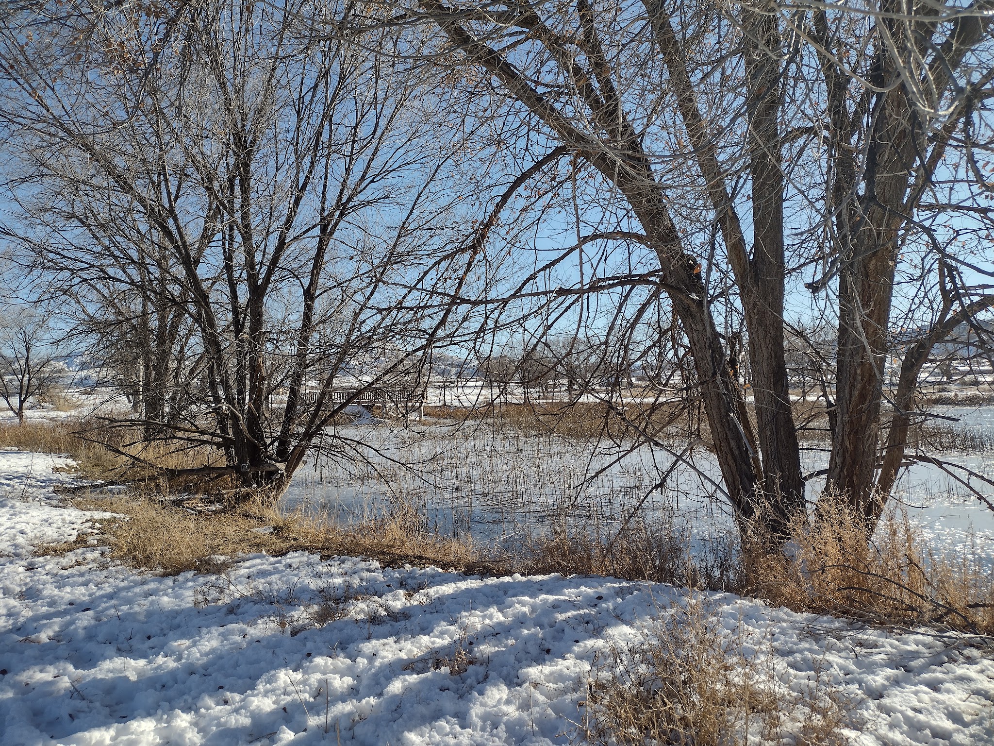 Silt River Preserve - Silt, CO