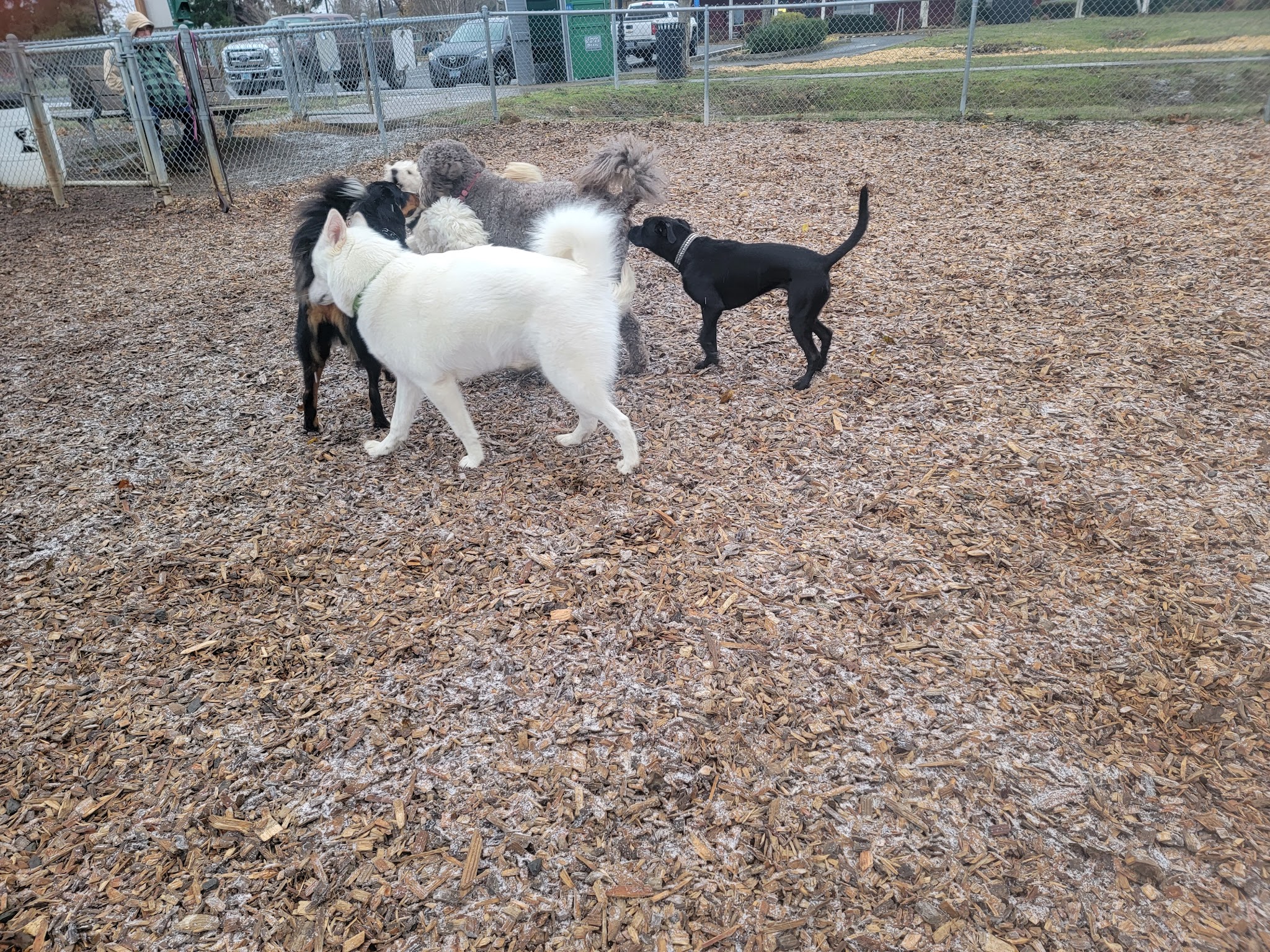 Silverton Dog Park - Silverton, OR
