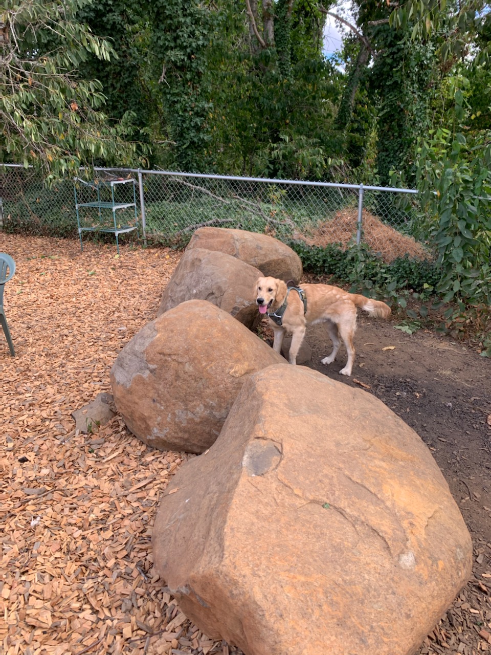 Silverton Dog Park - Silverton, OR