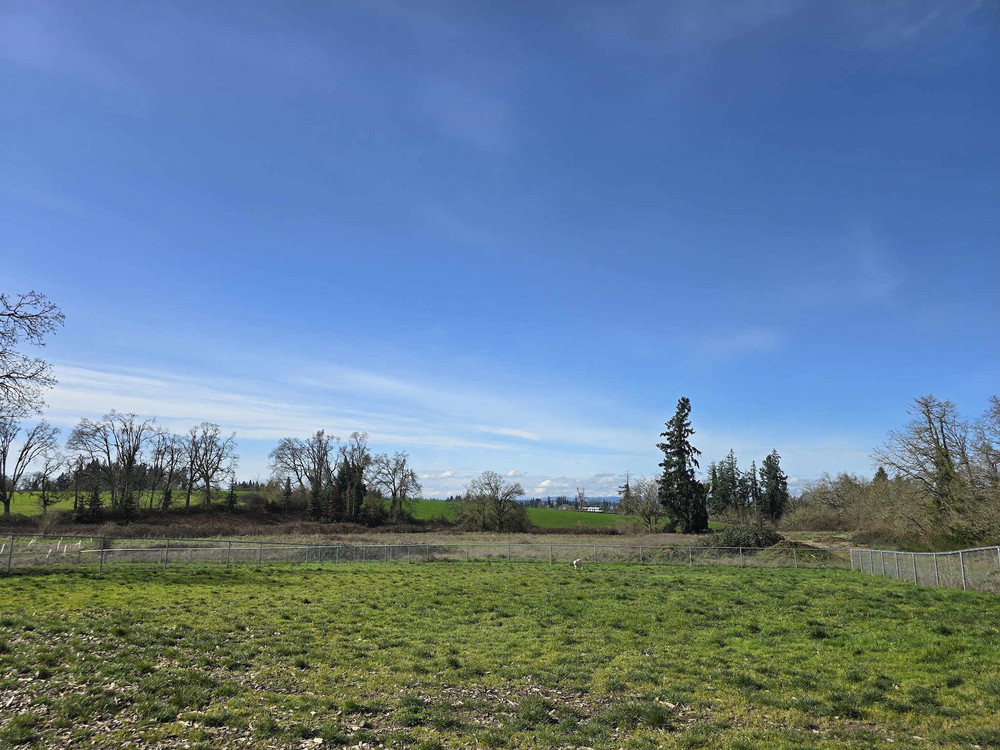 Silverton Dog Park - Silverton, OR