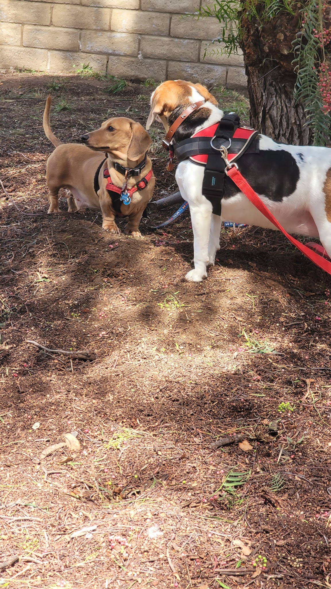 PLAYSPOT - Simi Valley, CA