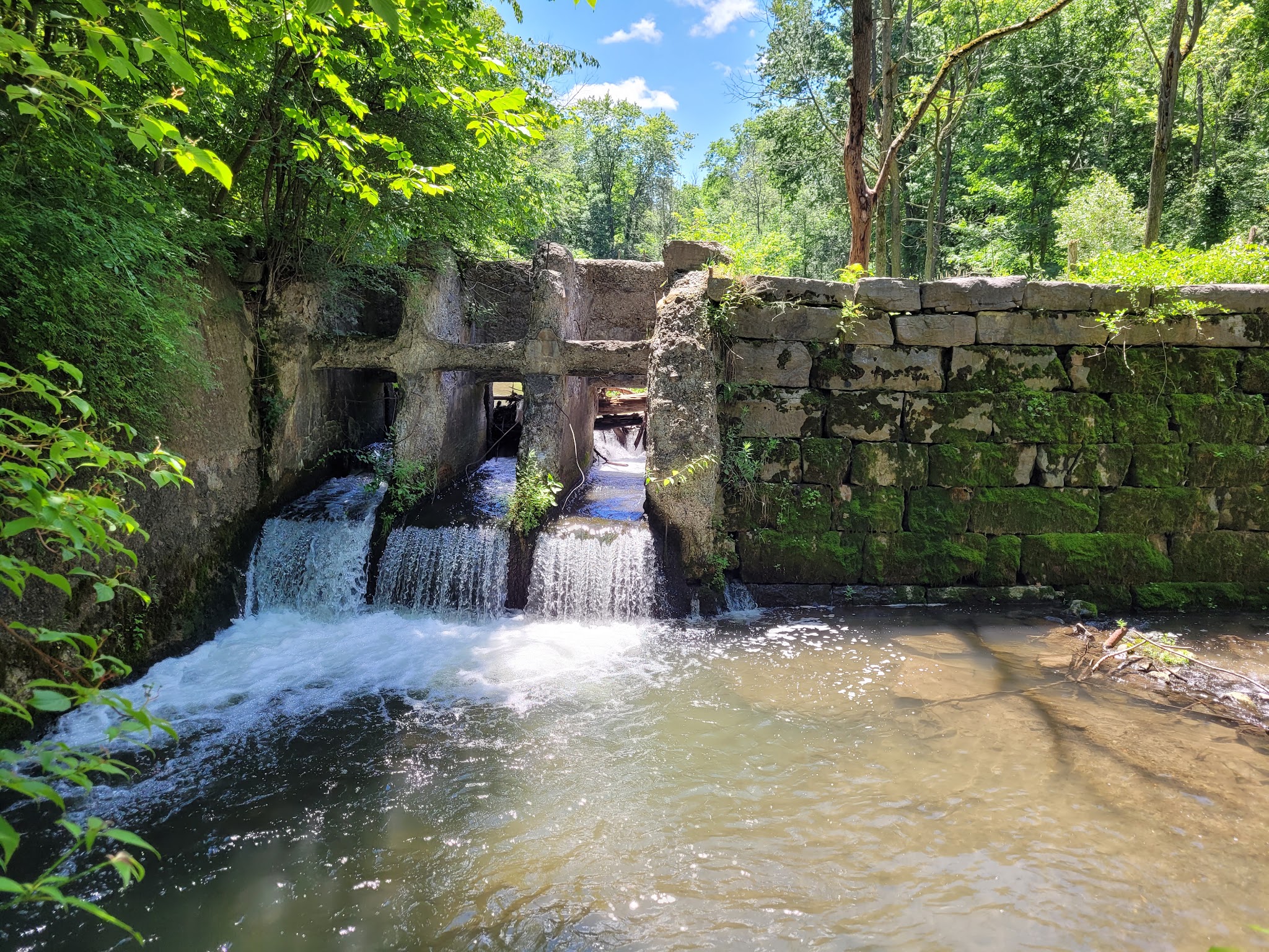 Charlie C. Major Nature Trail - Skaneateles, NY