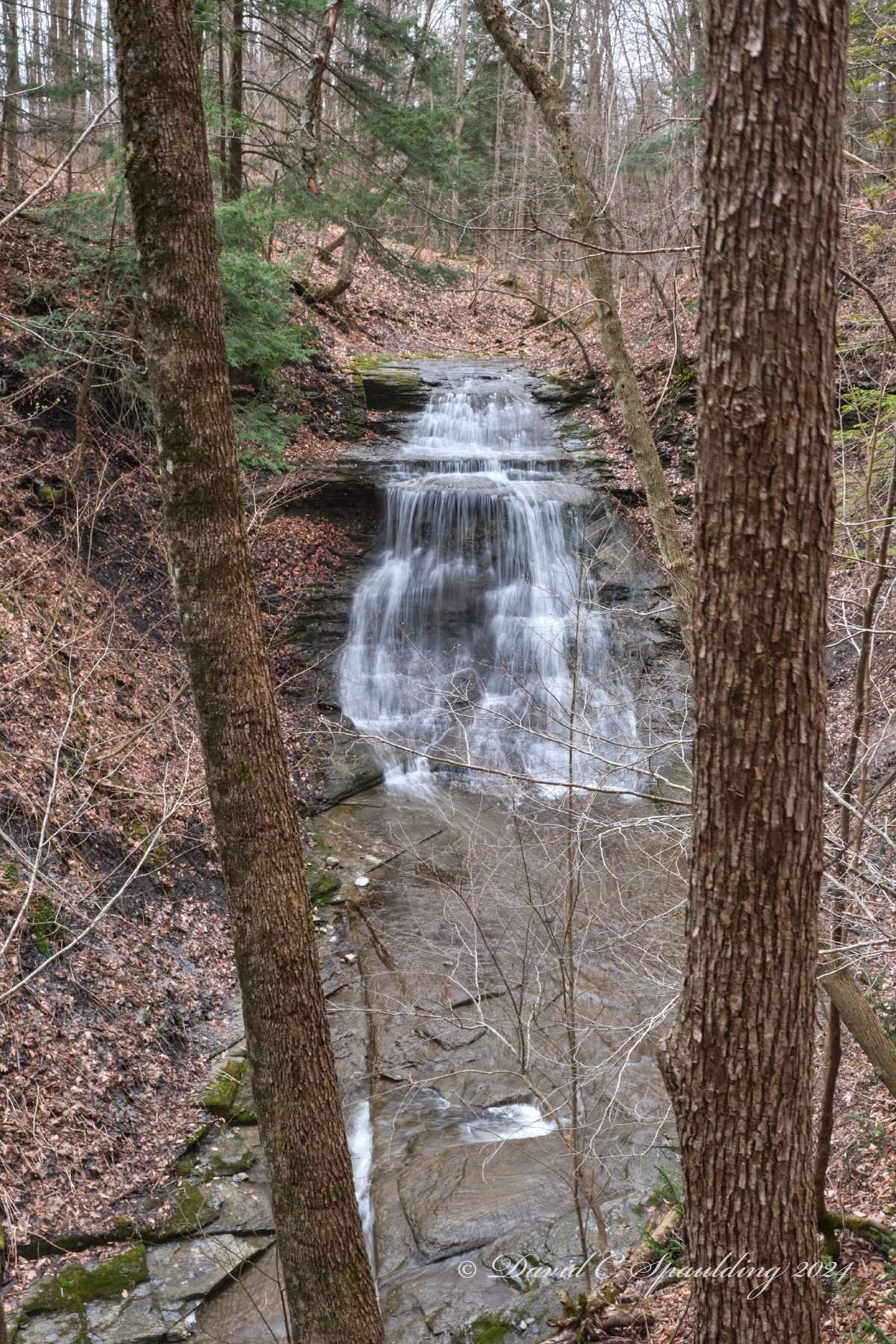Guppy Falls Trail - Skaneateles, NY