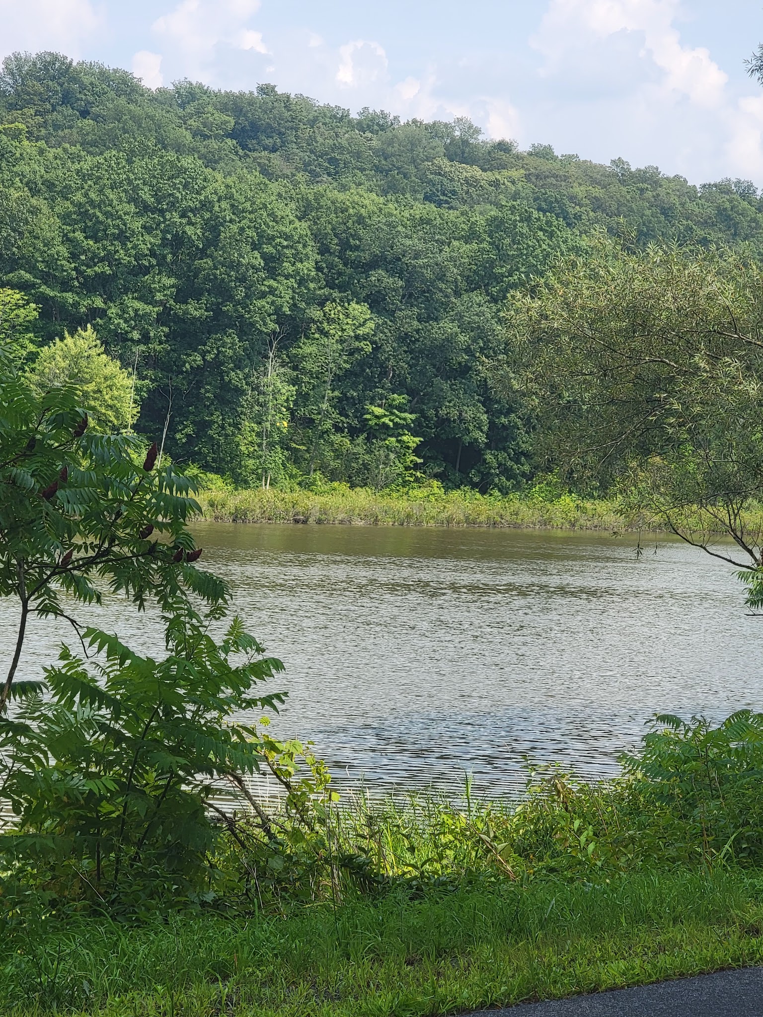 Guppy Falls Trail - Skaneateles, NY