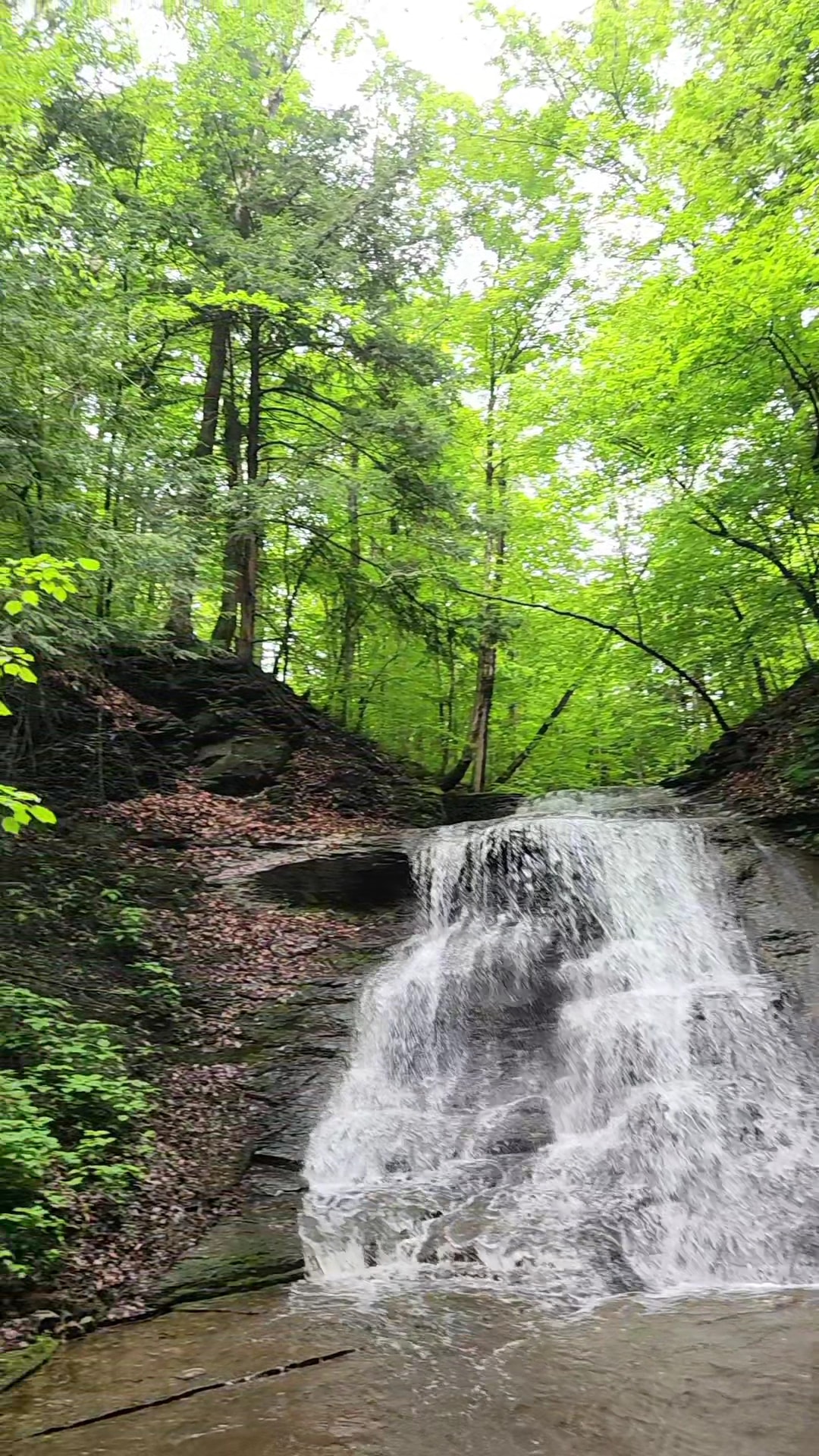 Guppy Falls Trail - Skaneateles, NY