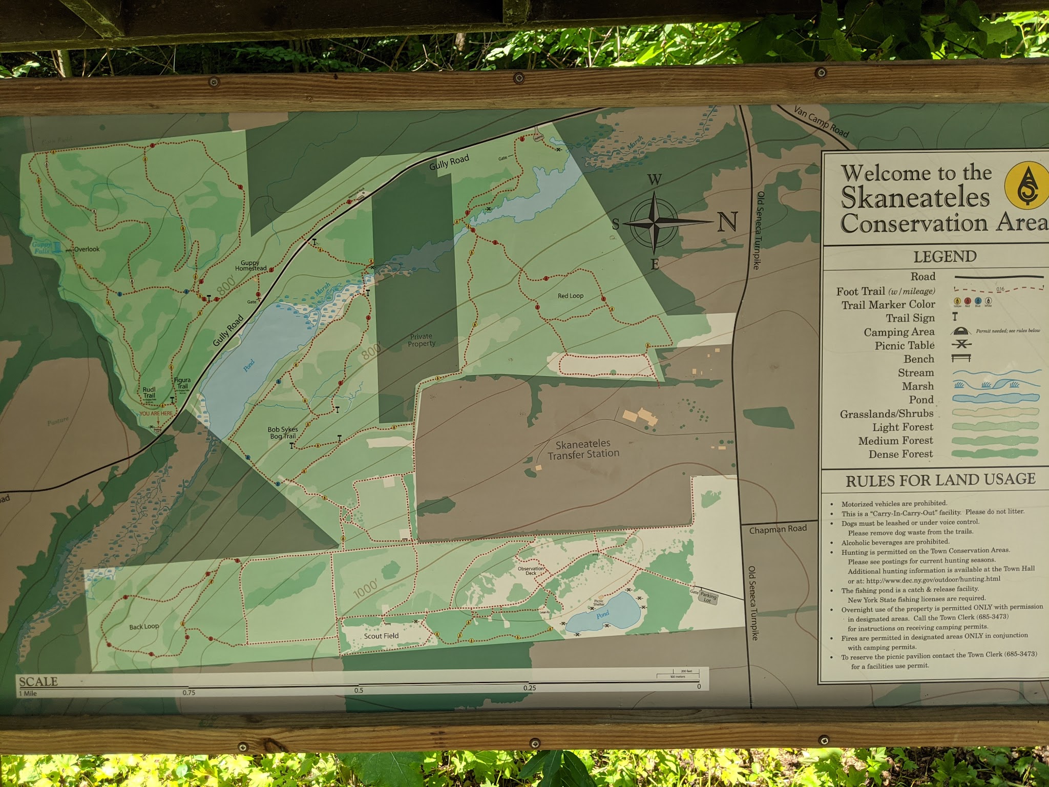 Guppy Falls Trail - Skaneateles, NY