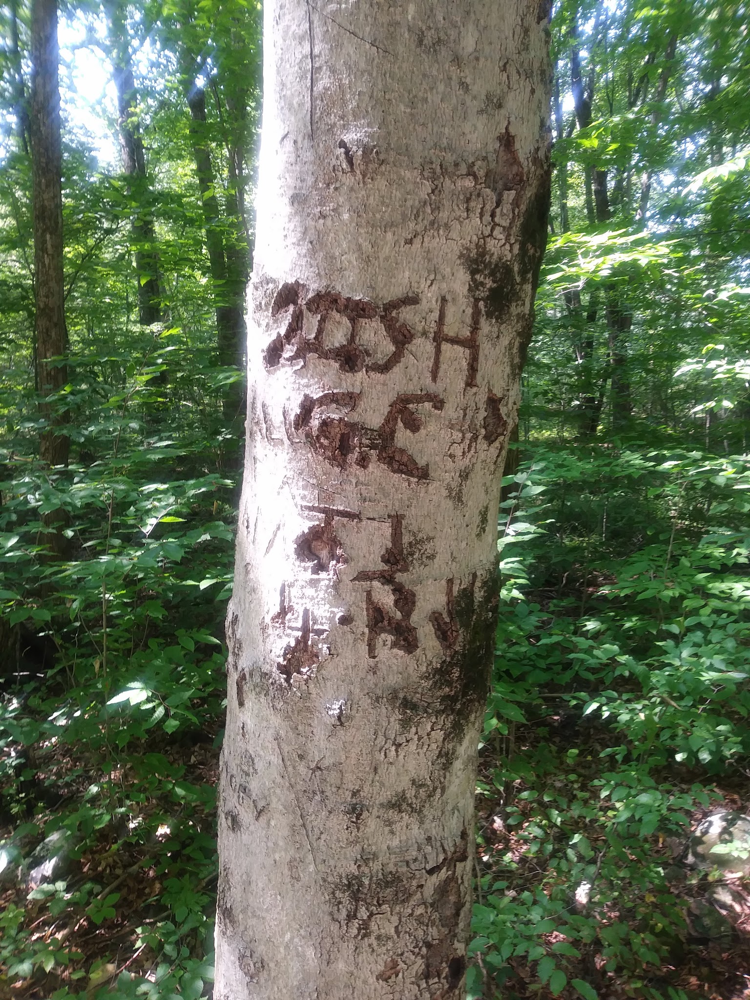 Shannen Park - Slate Hill, NY