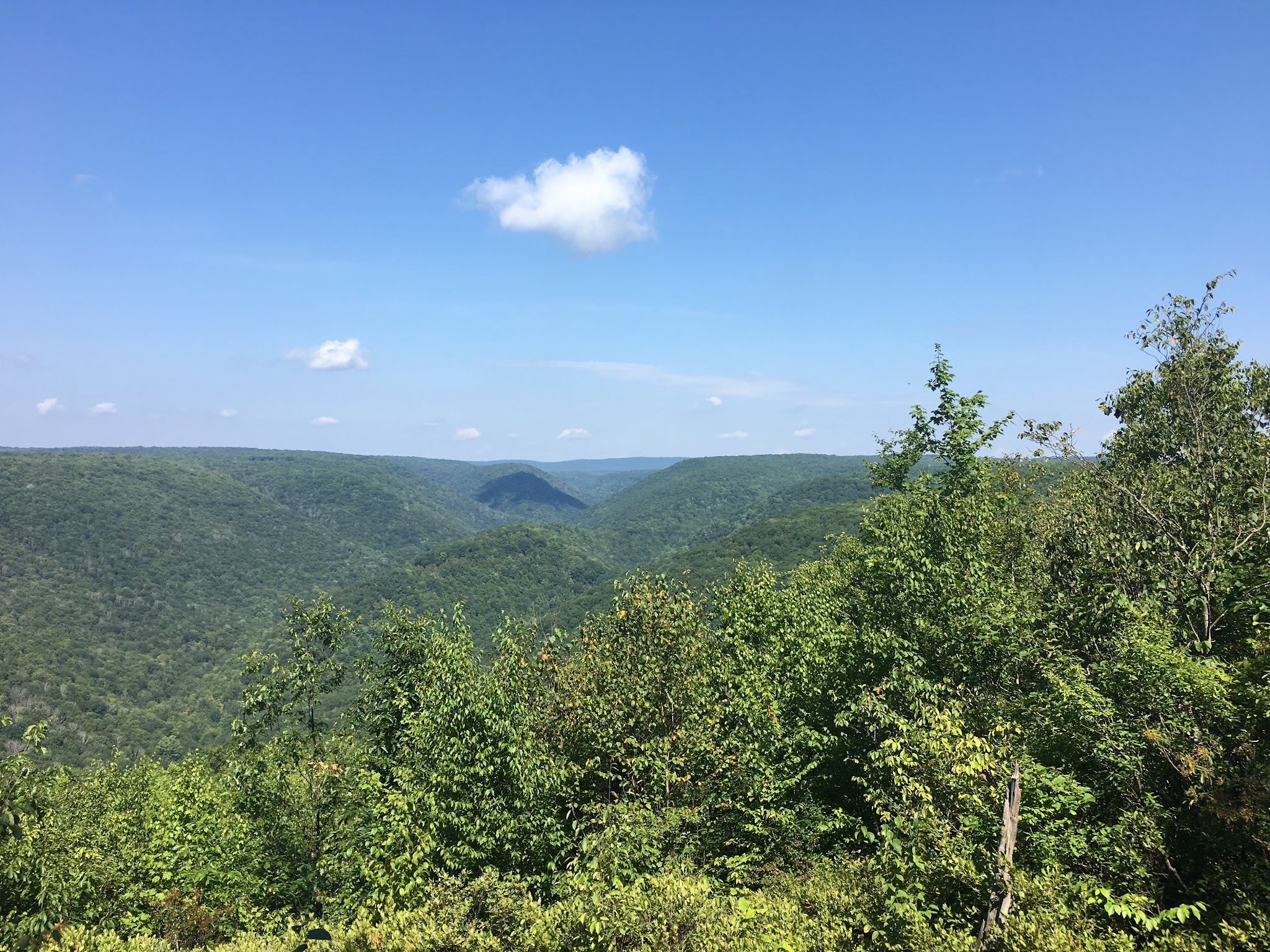 Black Forest Trail - Slate Run, PA