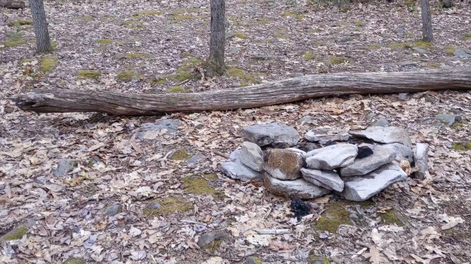 Black Forest Trail - Slate Run, PA