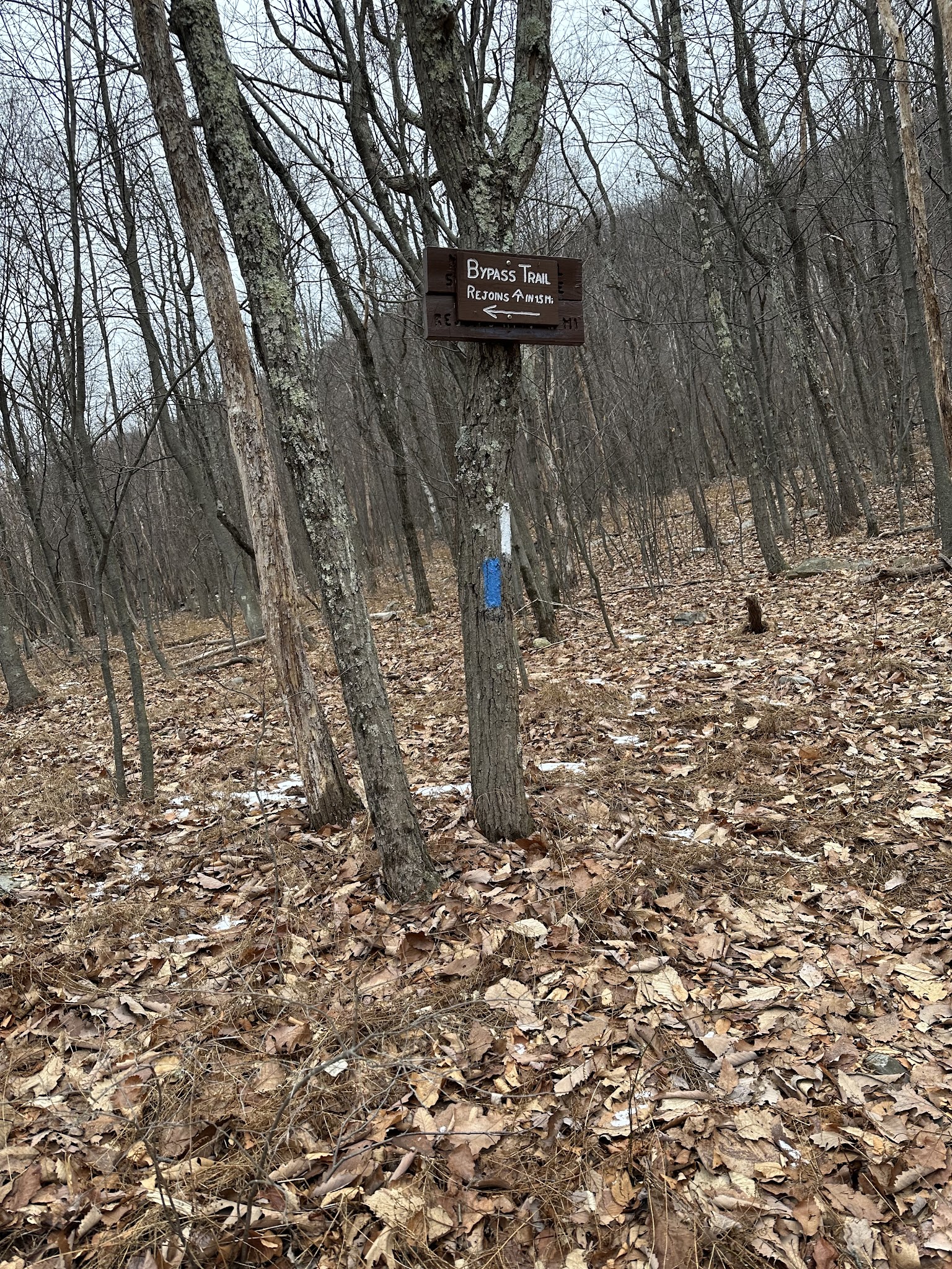 Bypass Trail - Slatington, PA