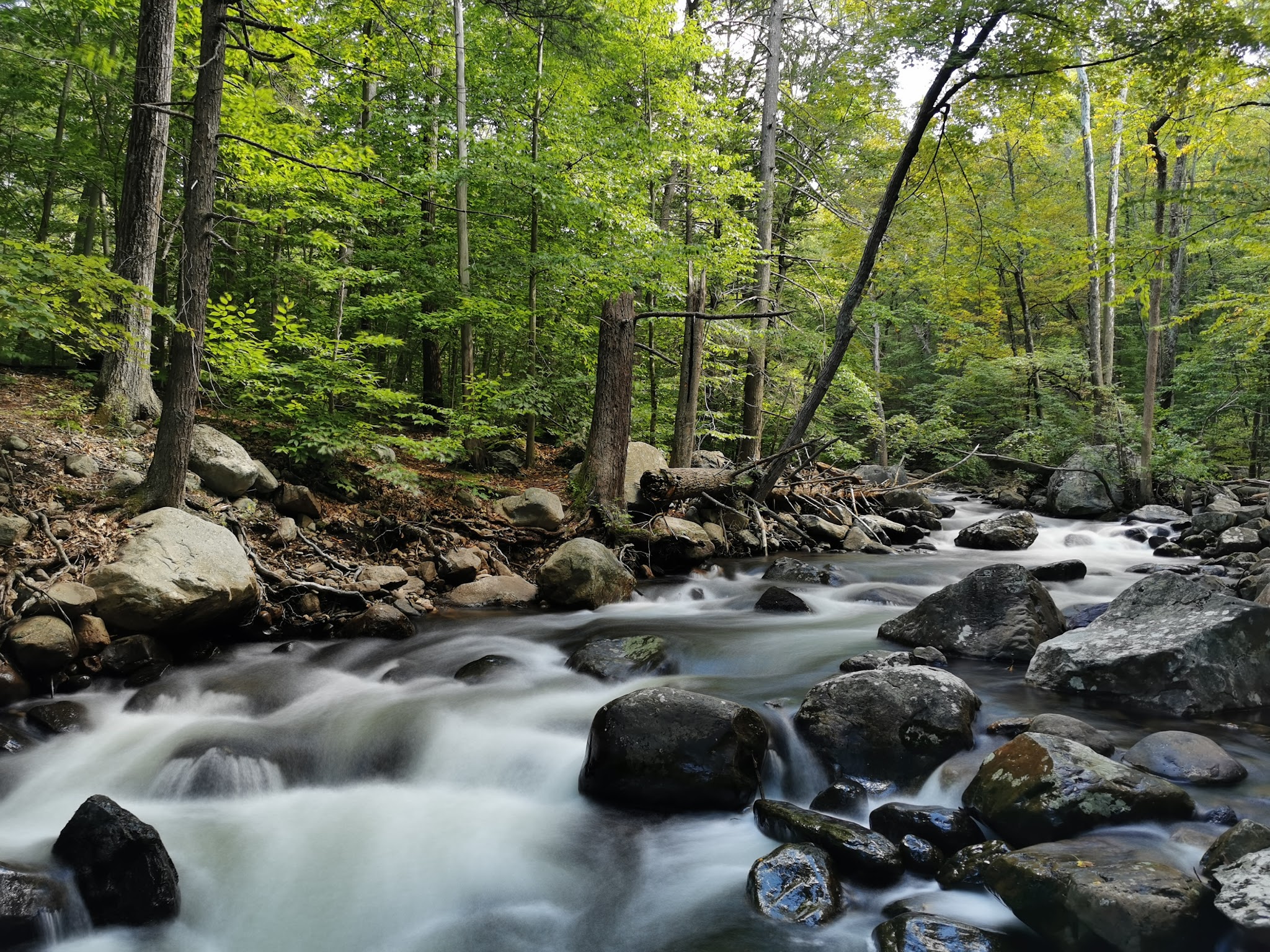 Dater Mountain Nature Park - Sloatsburg, NY