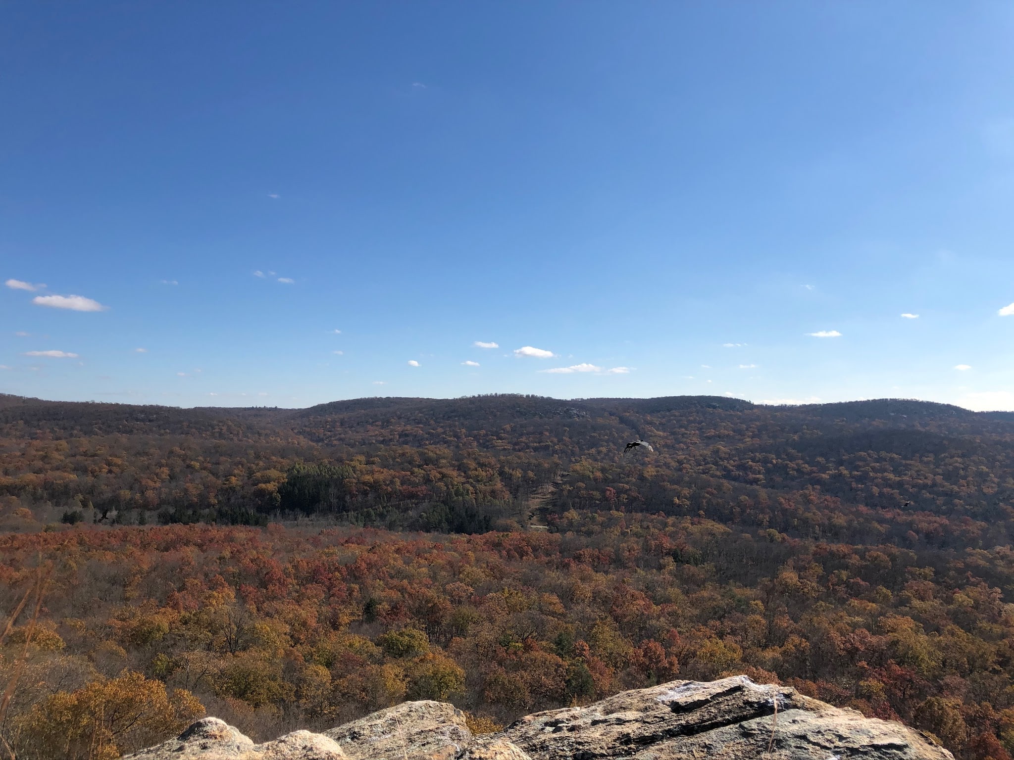Dater Mountain Nature Park - Sloatsburg, NY