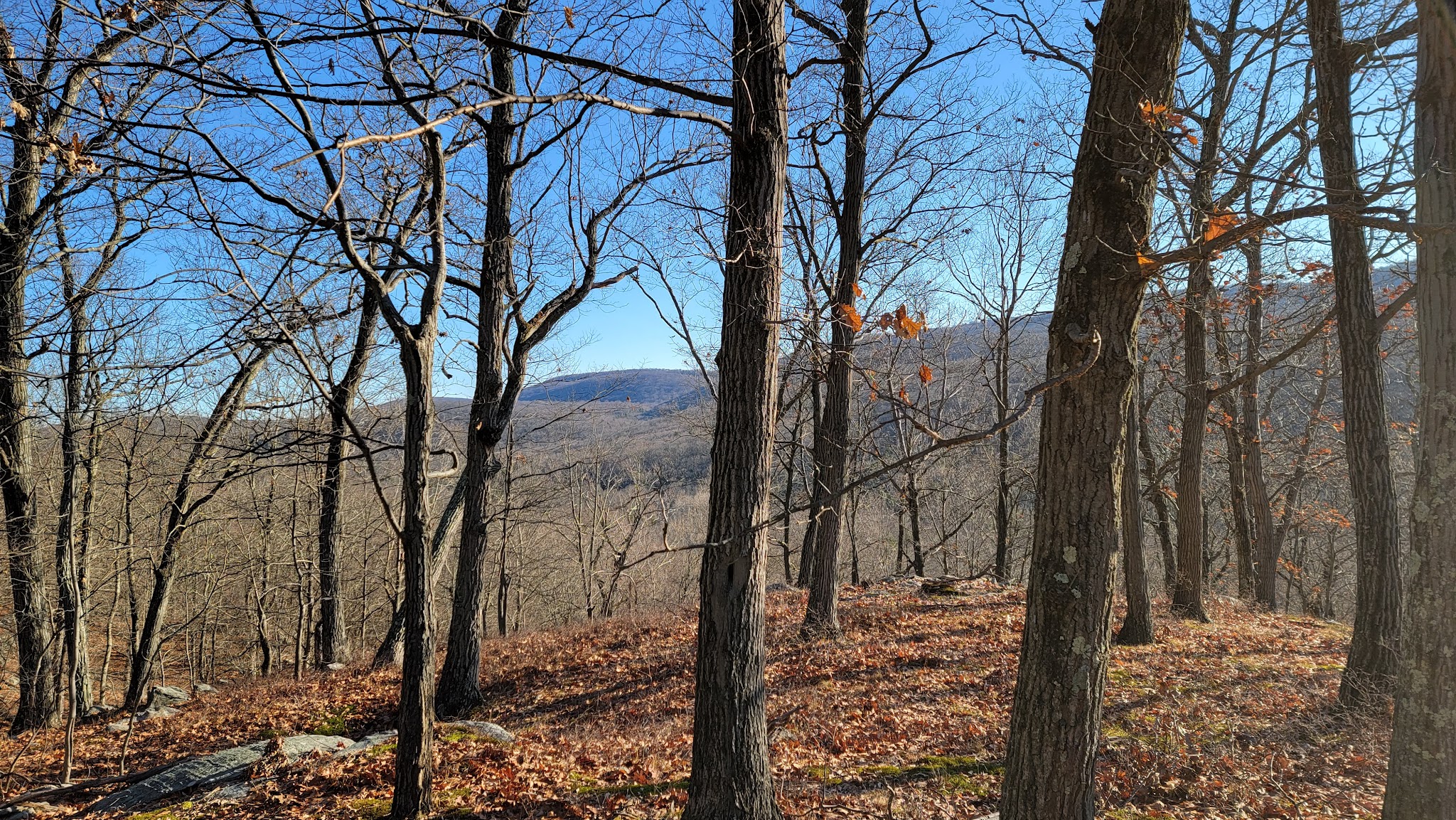 Dater Mountain Nature Park - Sloatsburg, NY