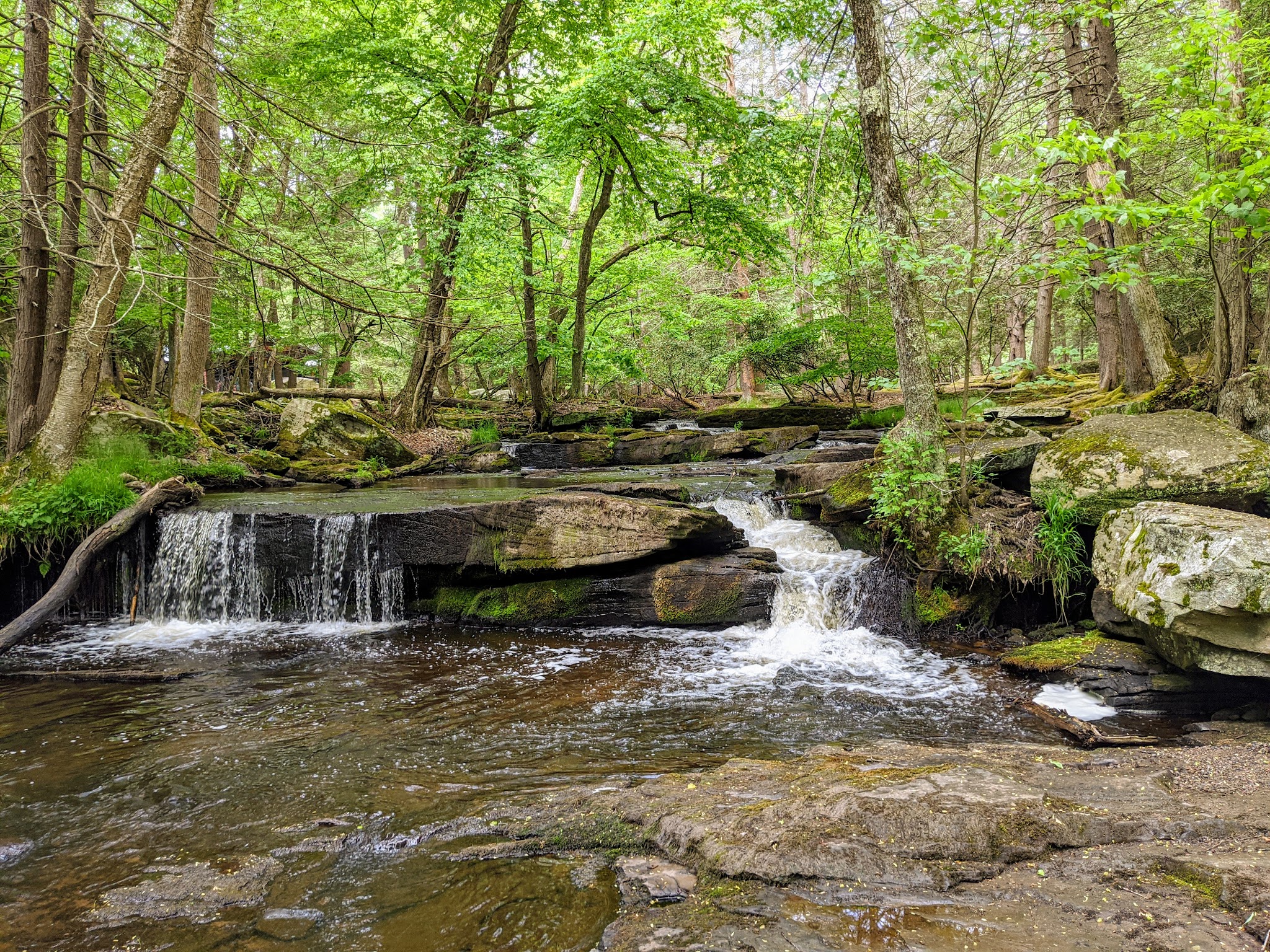 Forest Reserve At Smallwood - Smallwood, NY