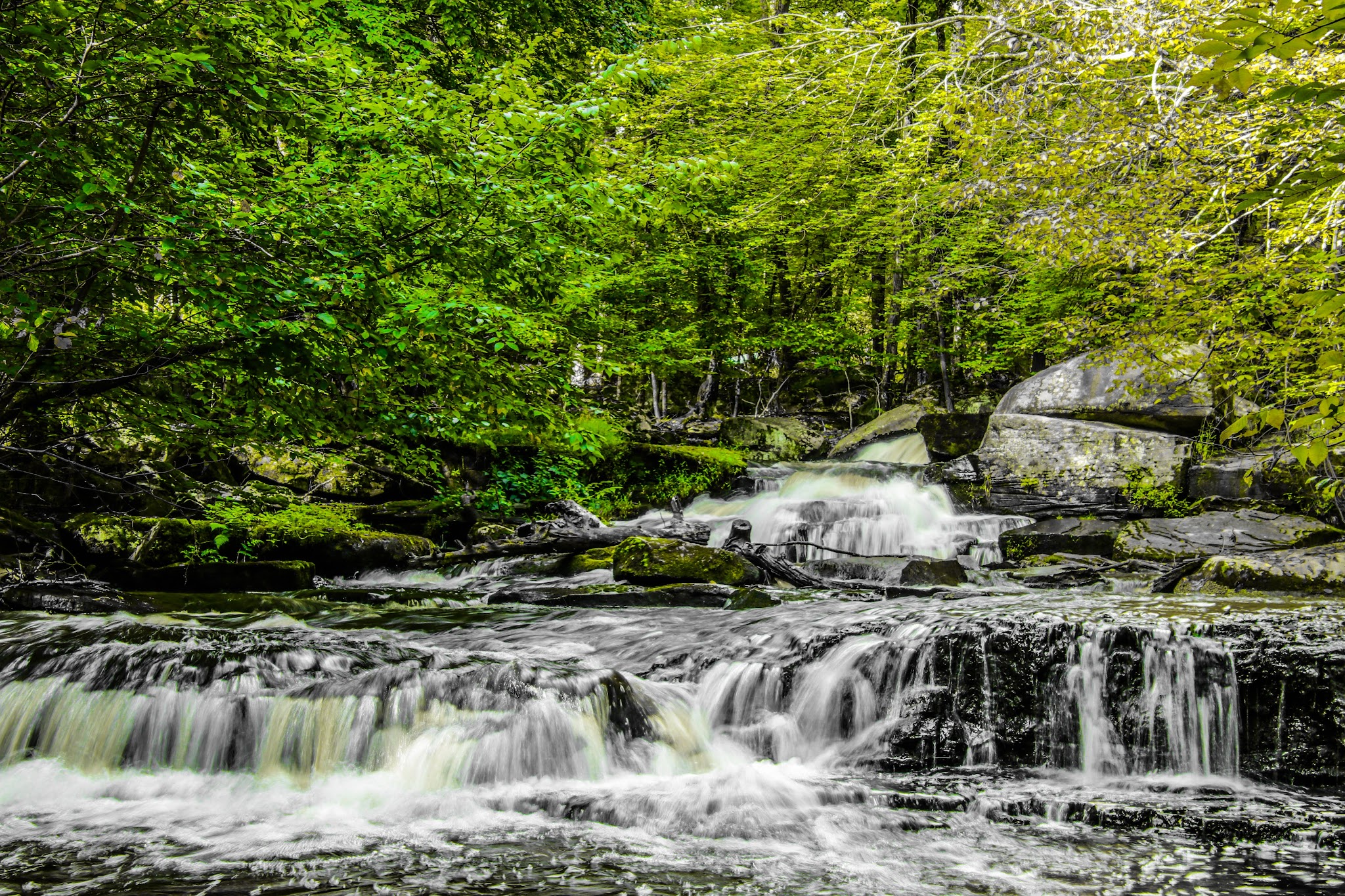 Forest Reserve At Smallwood - Smallwood, NY