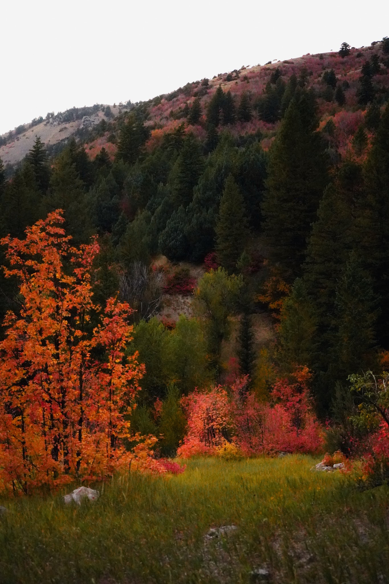 Smithfield Dry Canyon Trail - Smithfield, UT