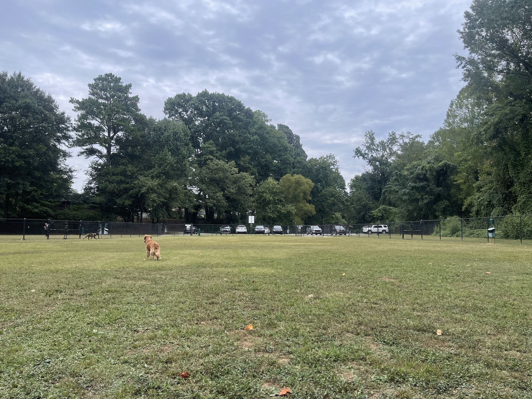 Burger Park - Smyrna, GA