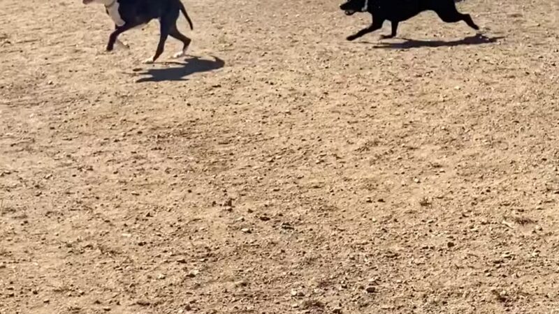 Burger Park - Smyrna, GA