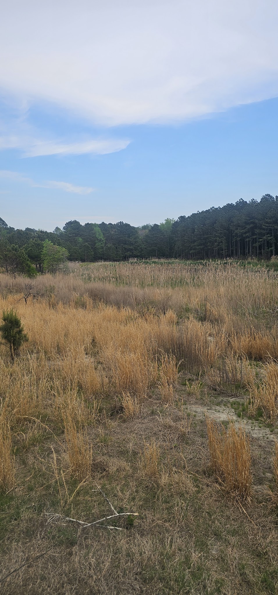 Foster Tract Public Recreation Area - Snow Hill, MD