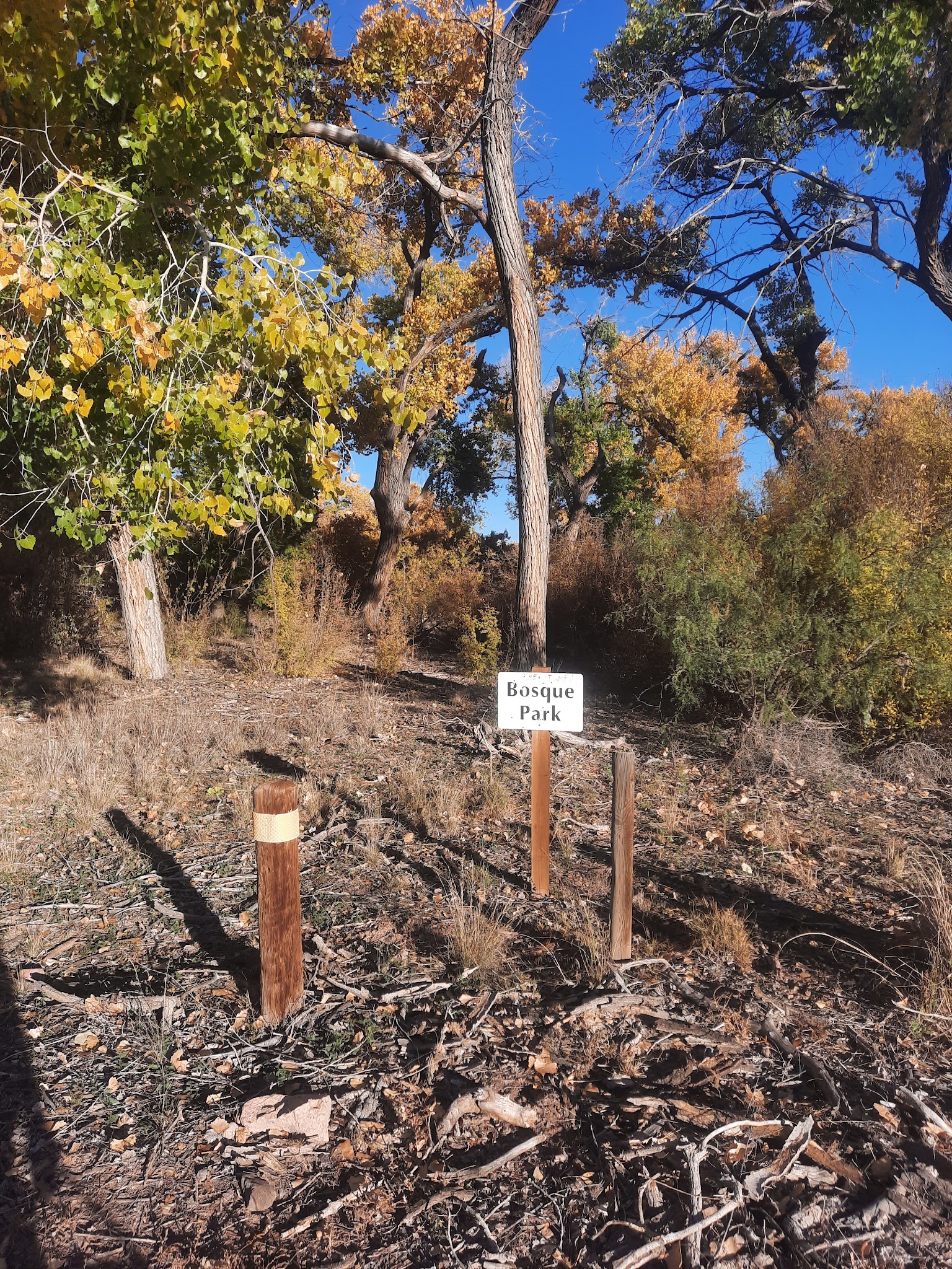 Bosque Park - Socorro, NM