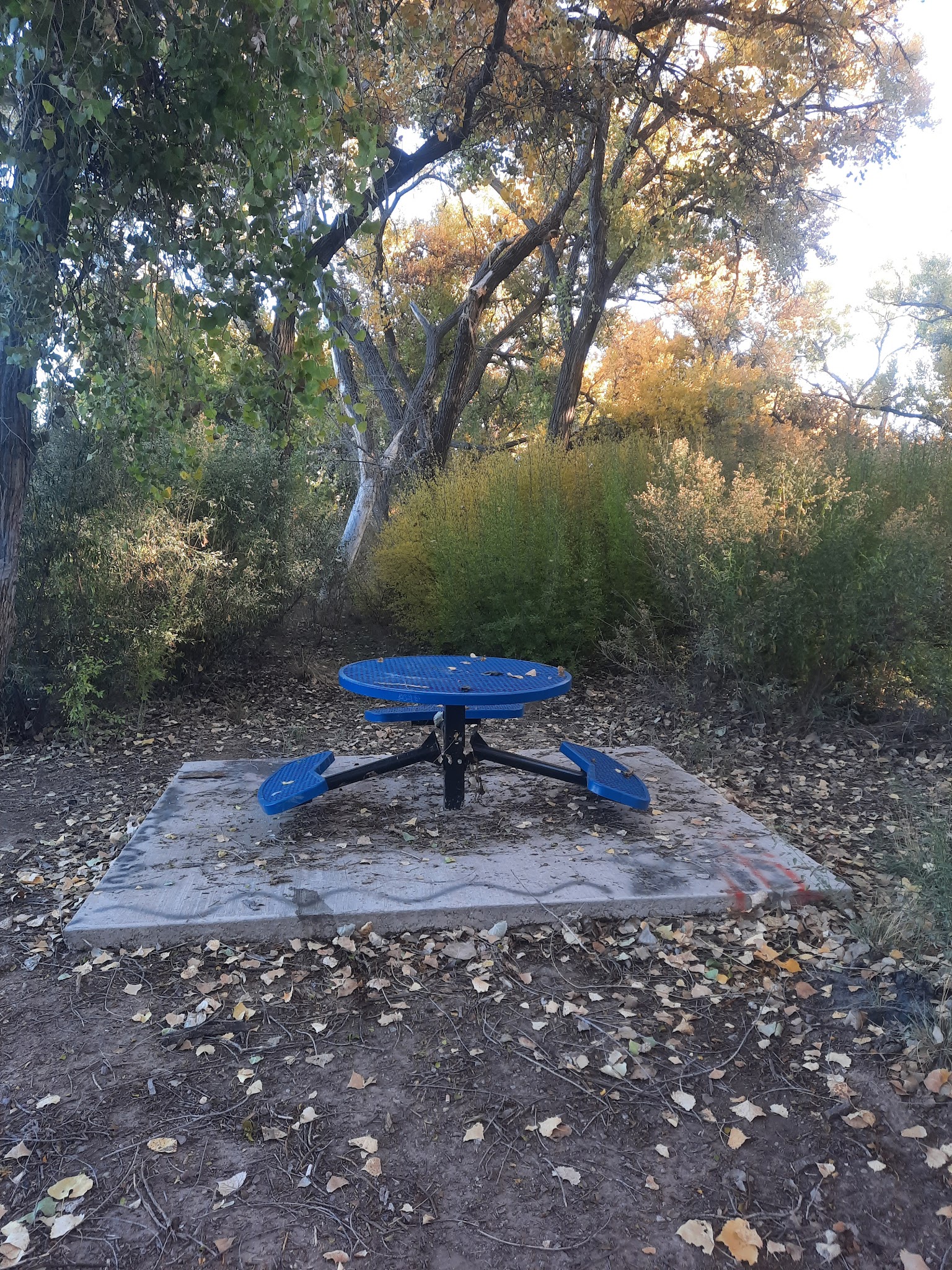 Bosque Park - Socorro, NM