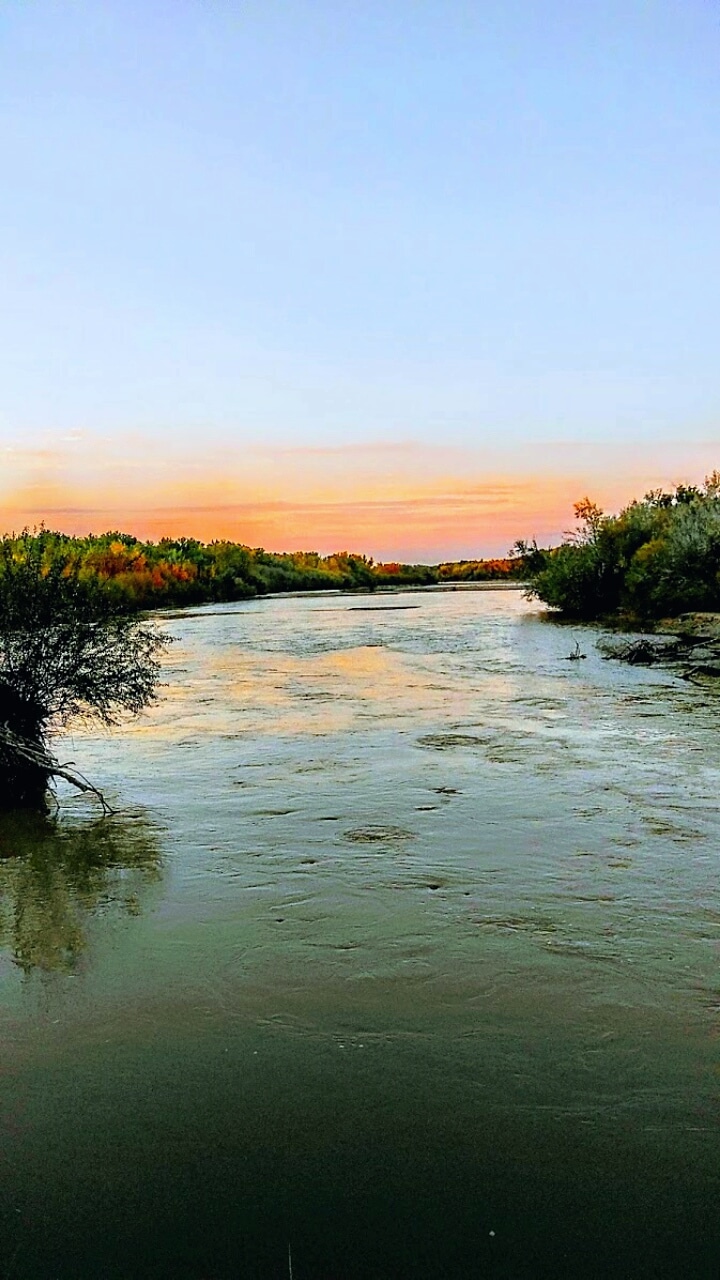 Bosque Park - Socorro, NM