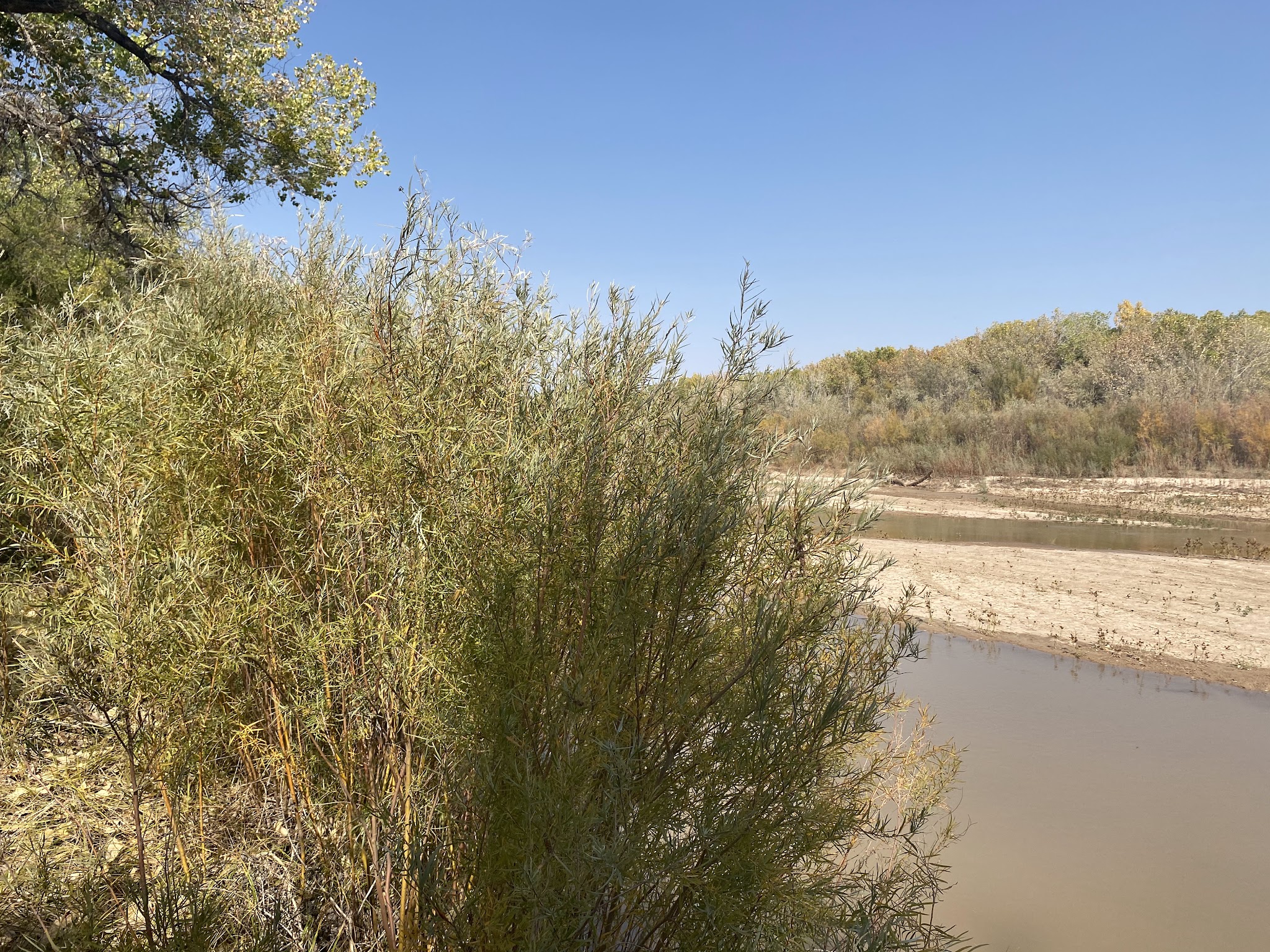 Island Park - Socorro, NM