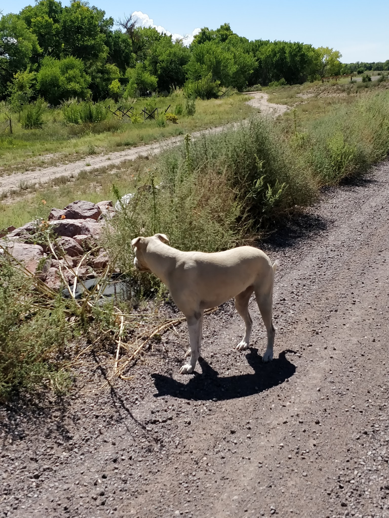 Otero Park - Socorro, NM